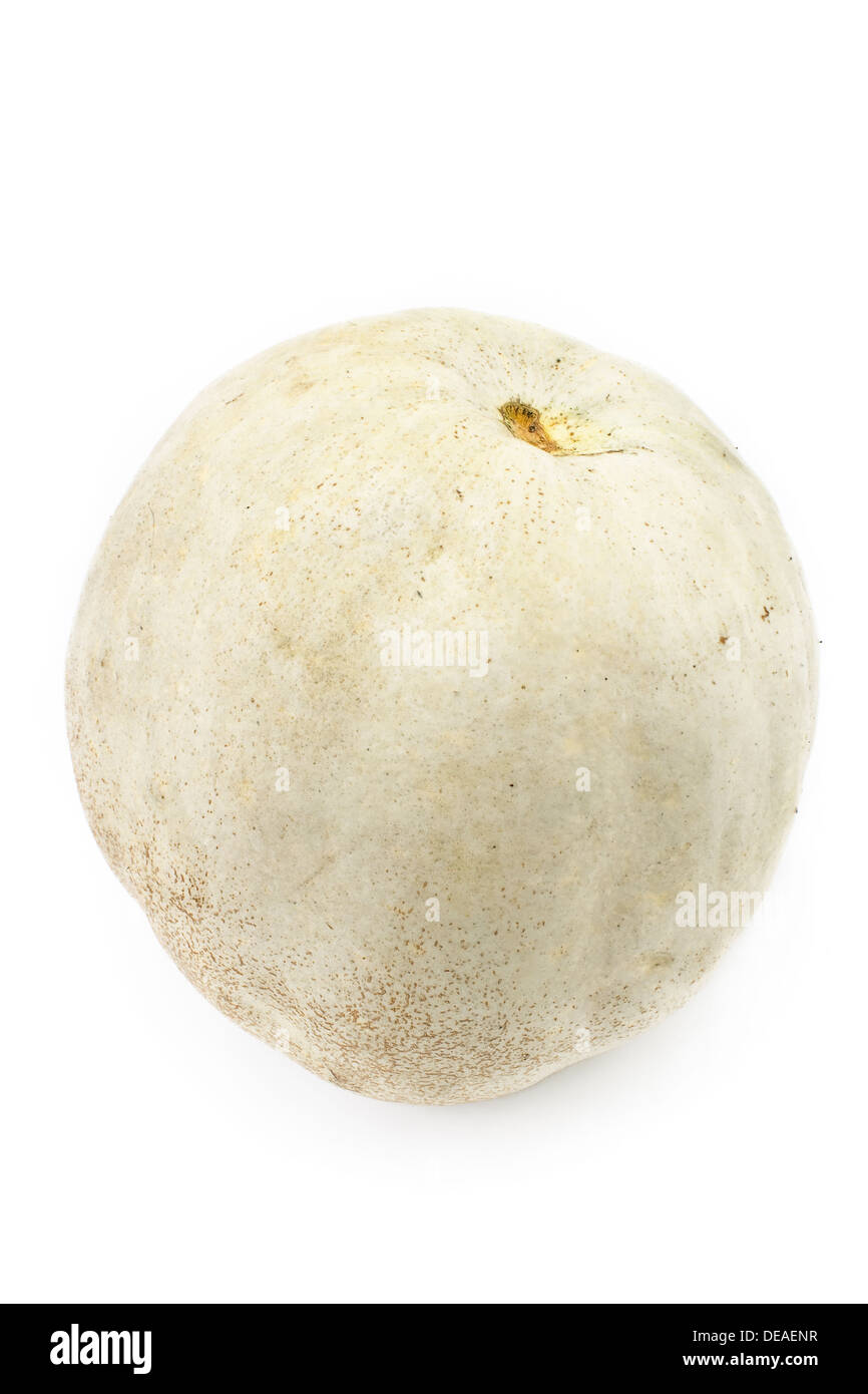White pumpkin isolated on white background Stock Photo