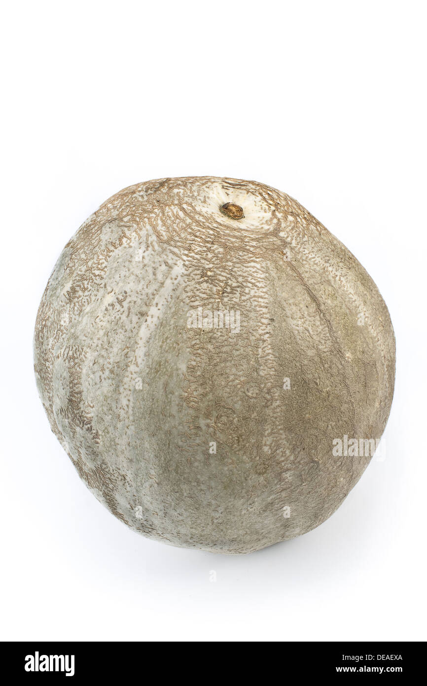Pumpkin isolated on white background Stock Photo