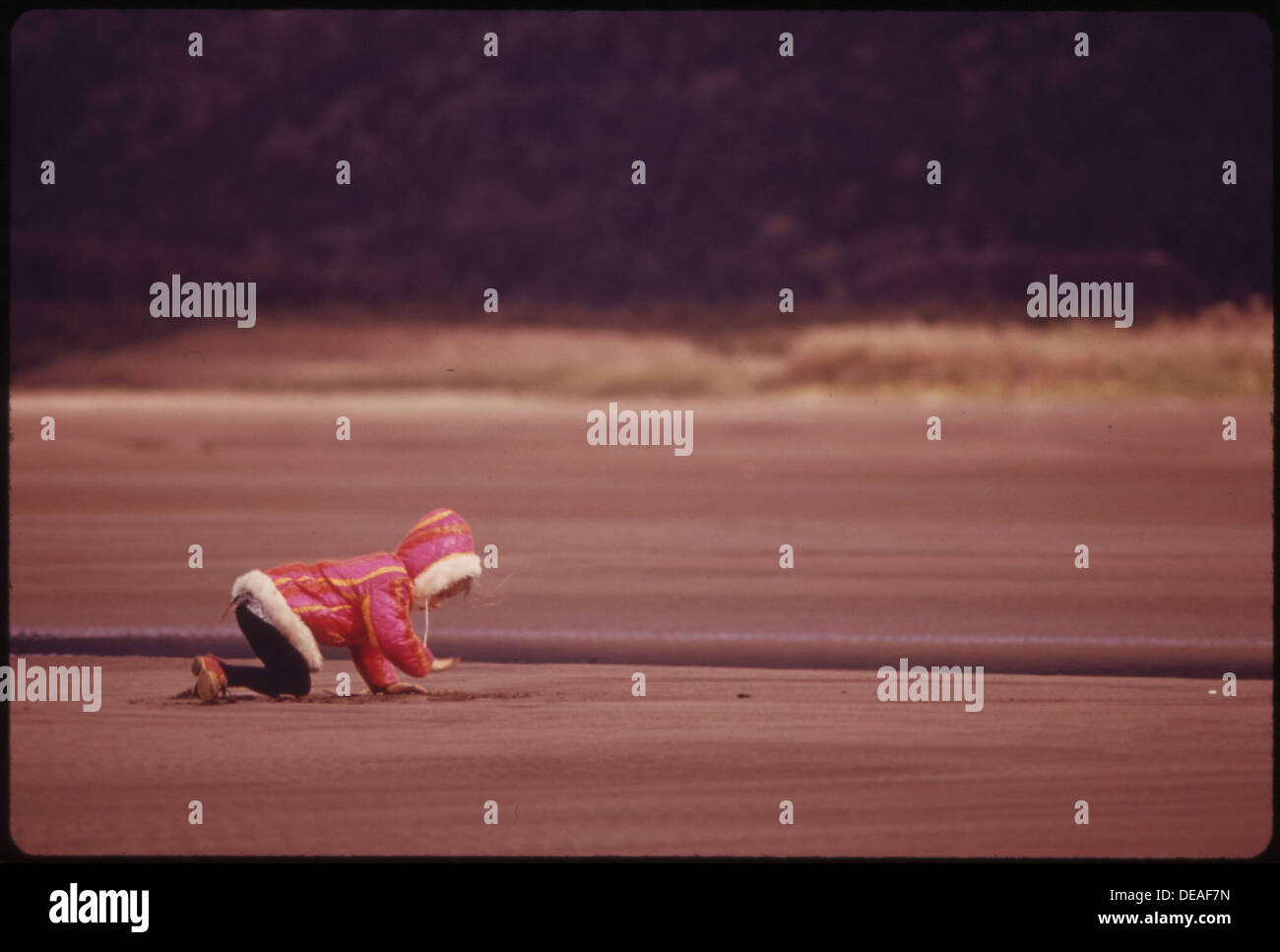 JUST LIKE THE BEACH, THE COLUMBIA RIVER IS SHOWN HERE AT ROOSTER ROCK
