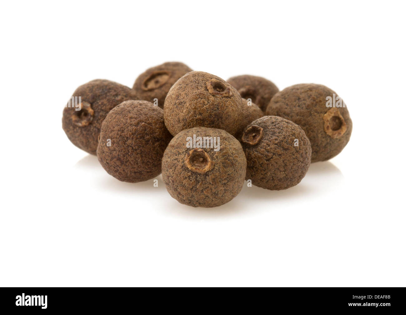 Ground Allspice In Hindi