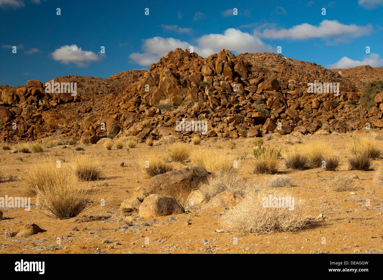 Desert landscape with the heavily eroded Granitberg Mountain in Richtersveld Transfrontier National Park, Namaqualand Stock Photo