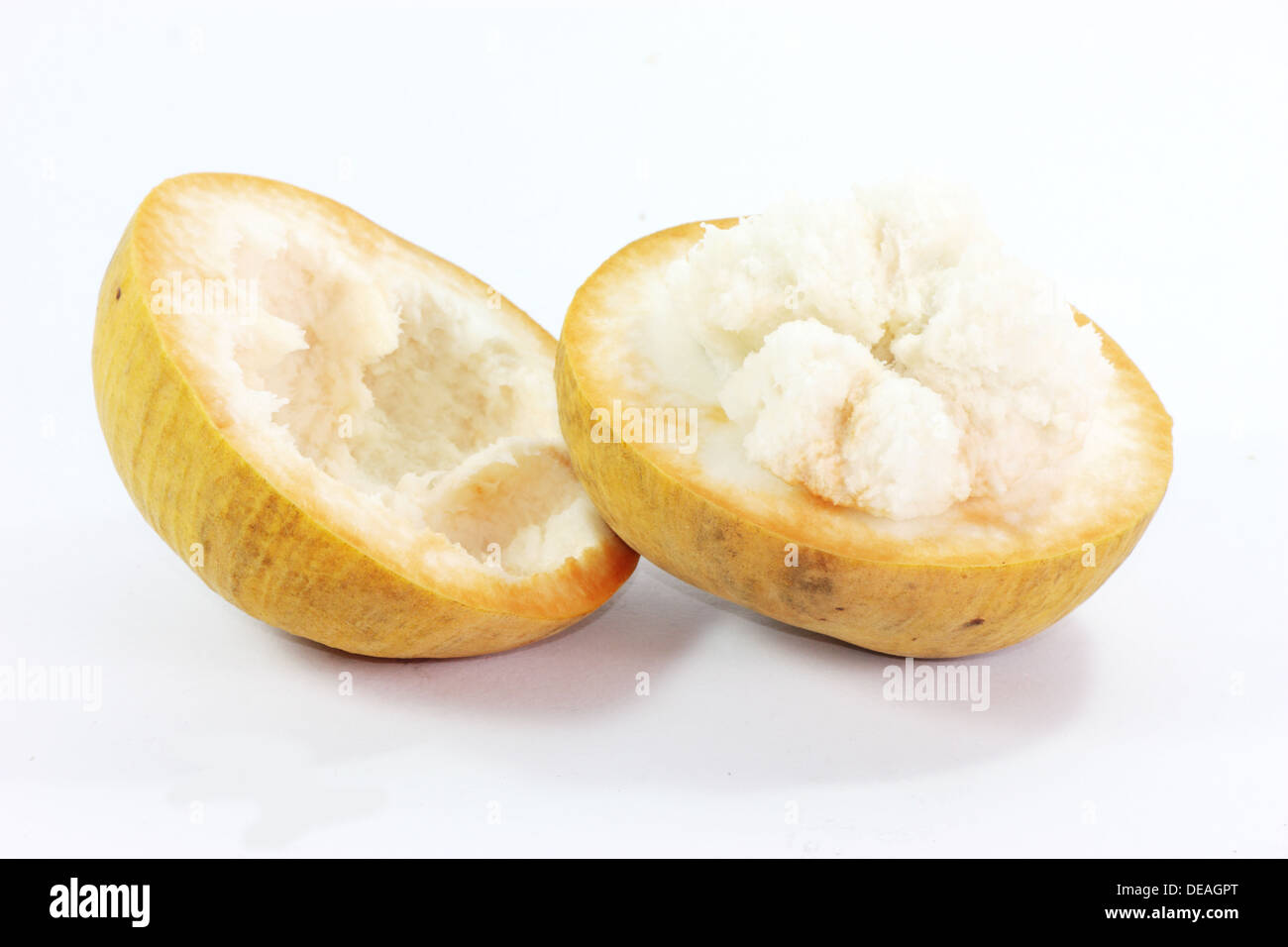 Fresh santol fruit Binomial name sandoricum koetjape Species S. koetjape isolated on white background Stock Photo