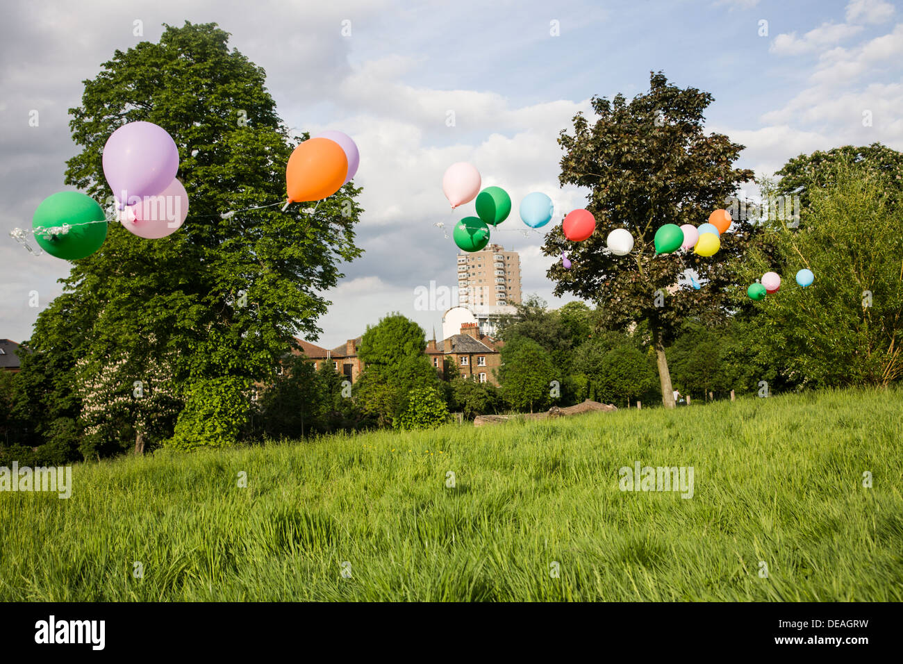 Balloons floating across the park Stock Photo Alamy