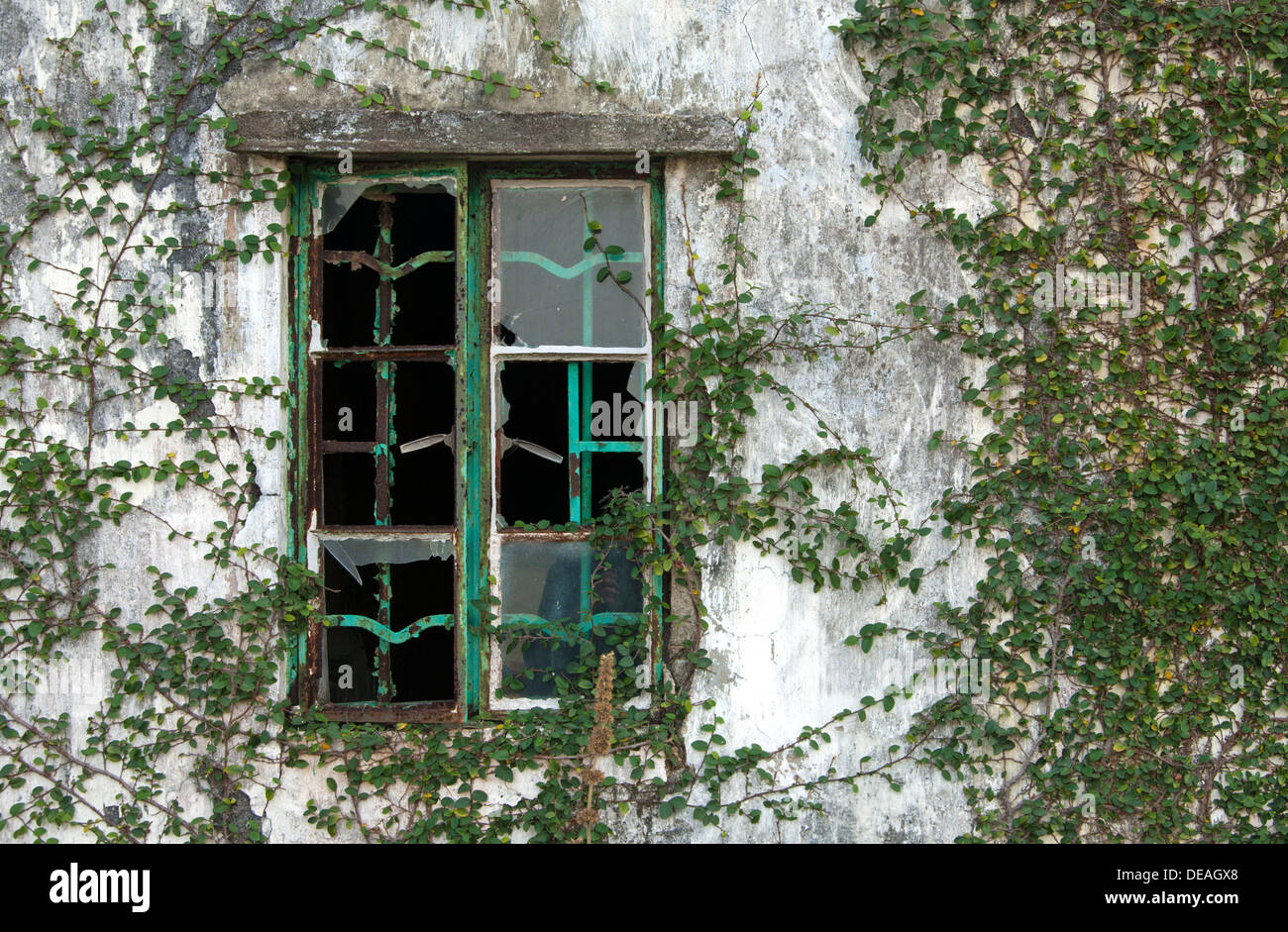 Broken window of an abandoned house in an abandoned village, Chek Keng, Hong Kong, Hong Kong, China, People's Republic of China Stock Photo