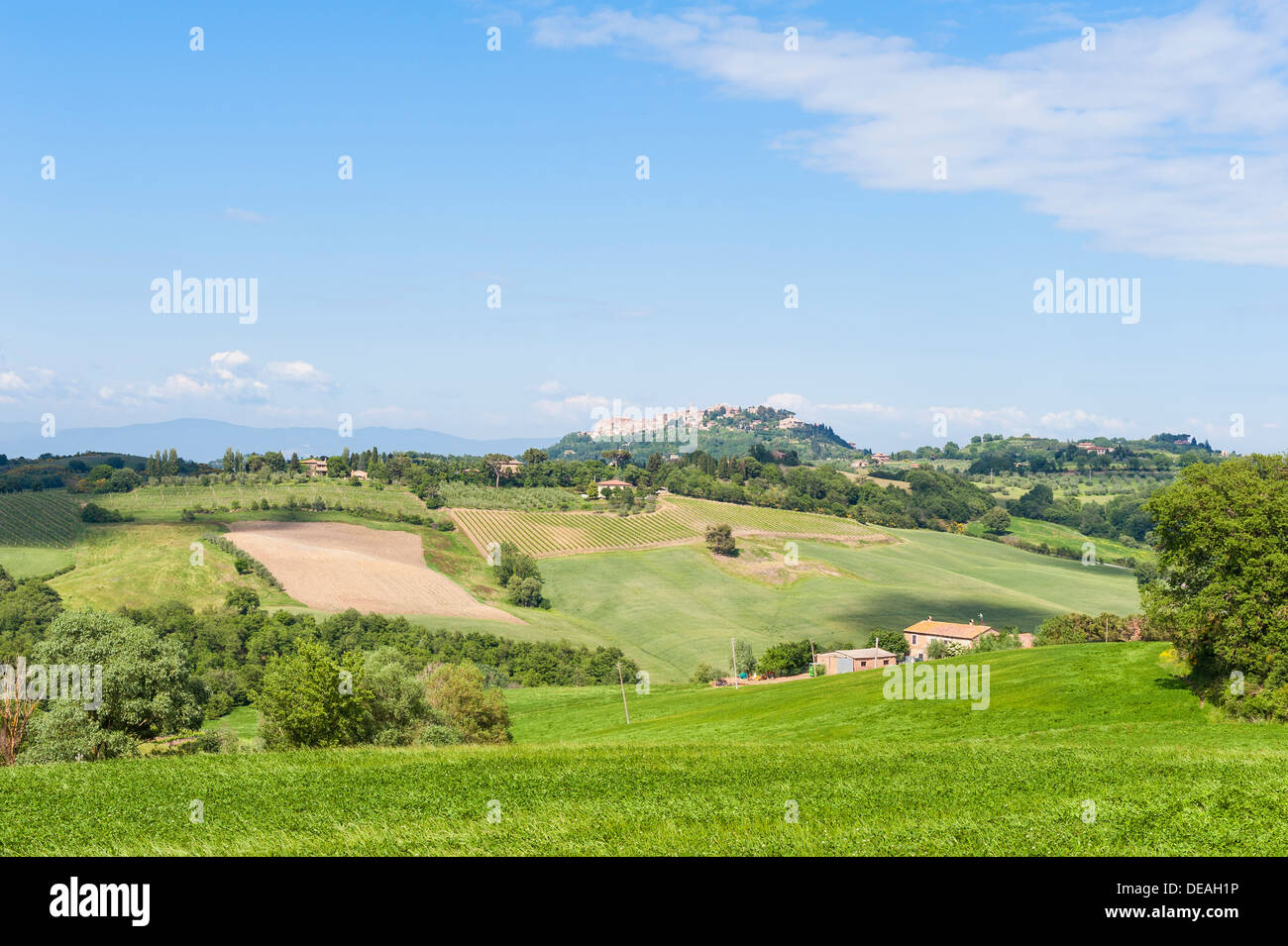 Landscape near Pienza Tuscany Stock Photo