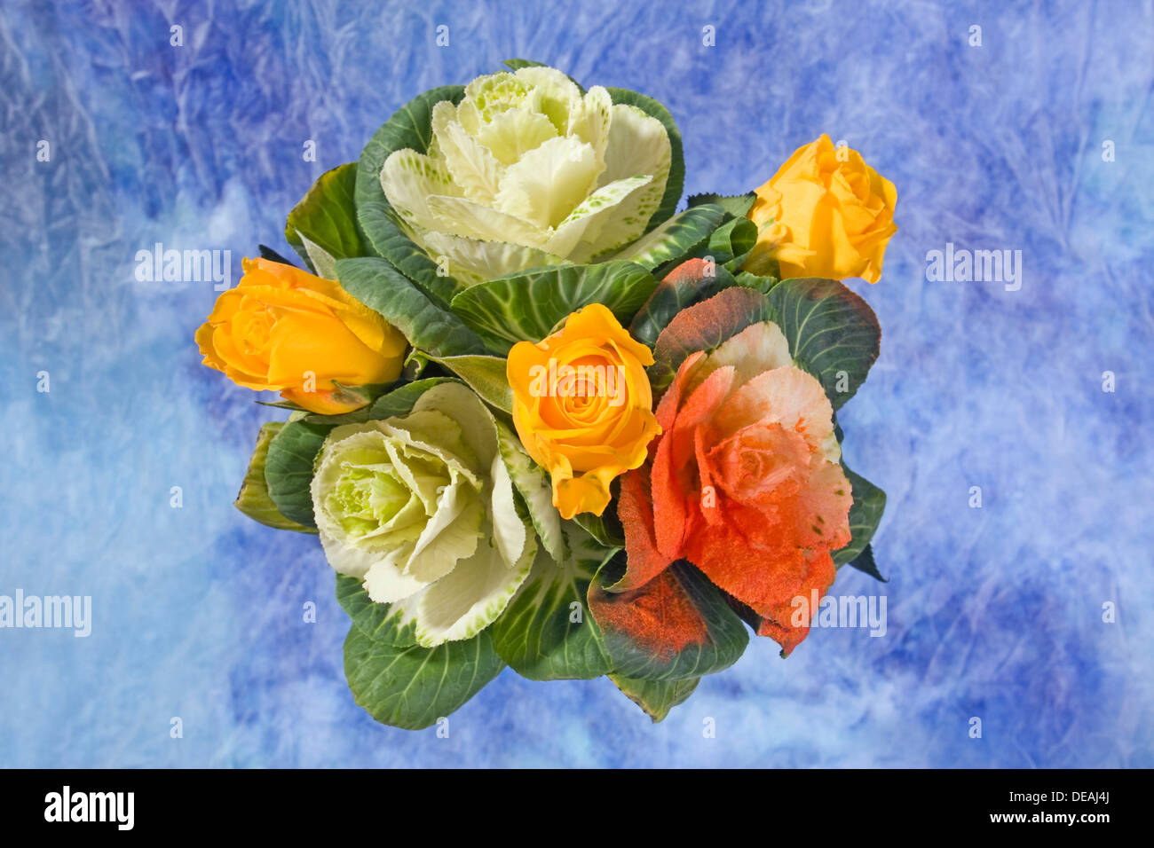 Colourful flower arrangement hi-res stock photography and images - Alamy