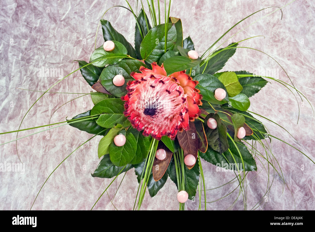 Flower arrangement with protea Stock Photo