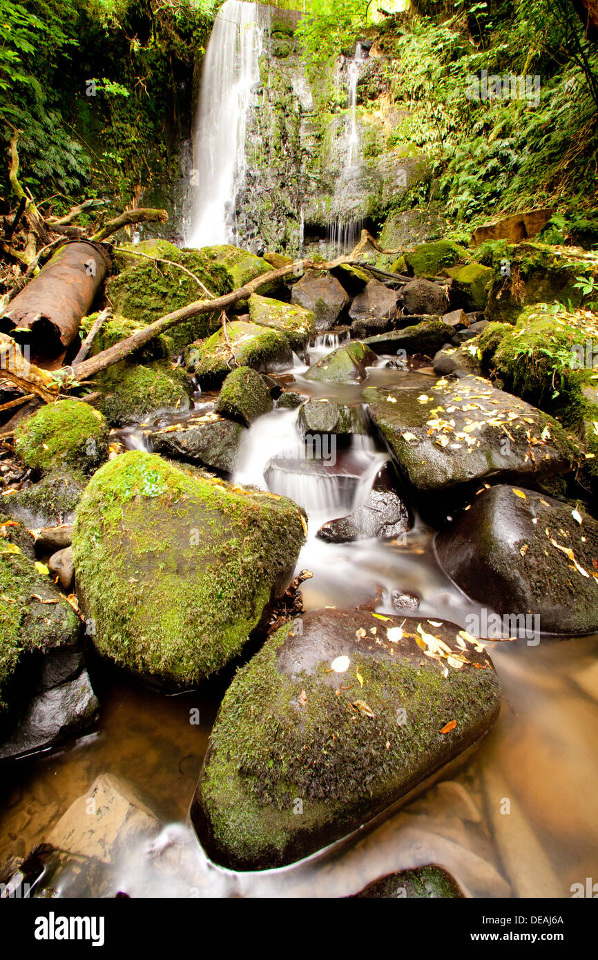 Matai falls near Papatowai, South Island, New Zealand Stock Photo