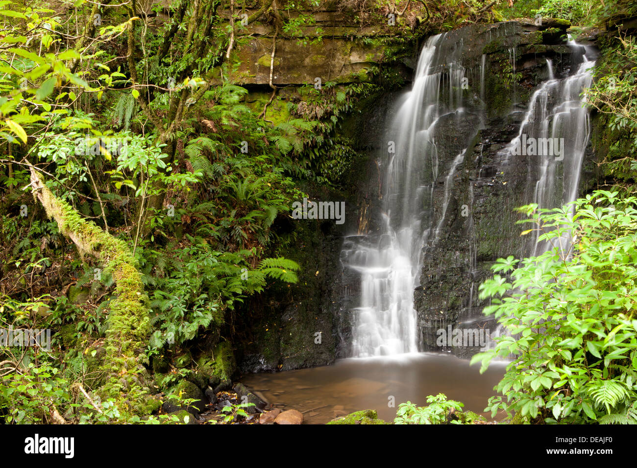Horseshoe falls near Matai Falls in Papatowai, South Island, New Zealand Stock Photo