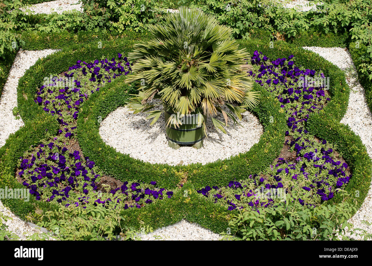 Birds eye view flower bed hi-res stock photography and images - Alamy