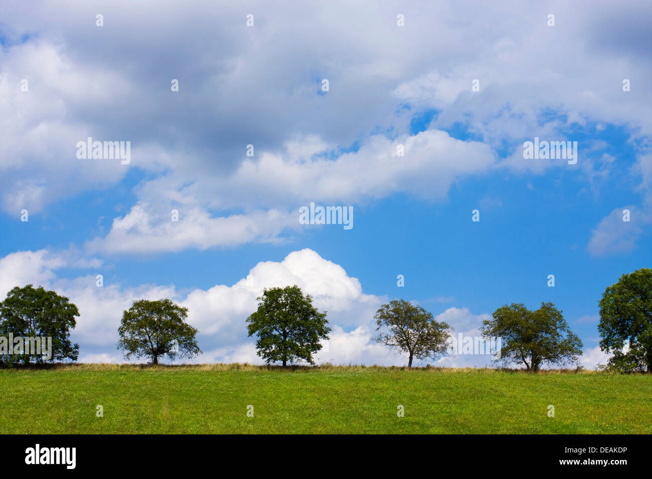Landscape near Ryman, Melnik district, Stredocesky region, Czech Republic, Europe Stock Photo