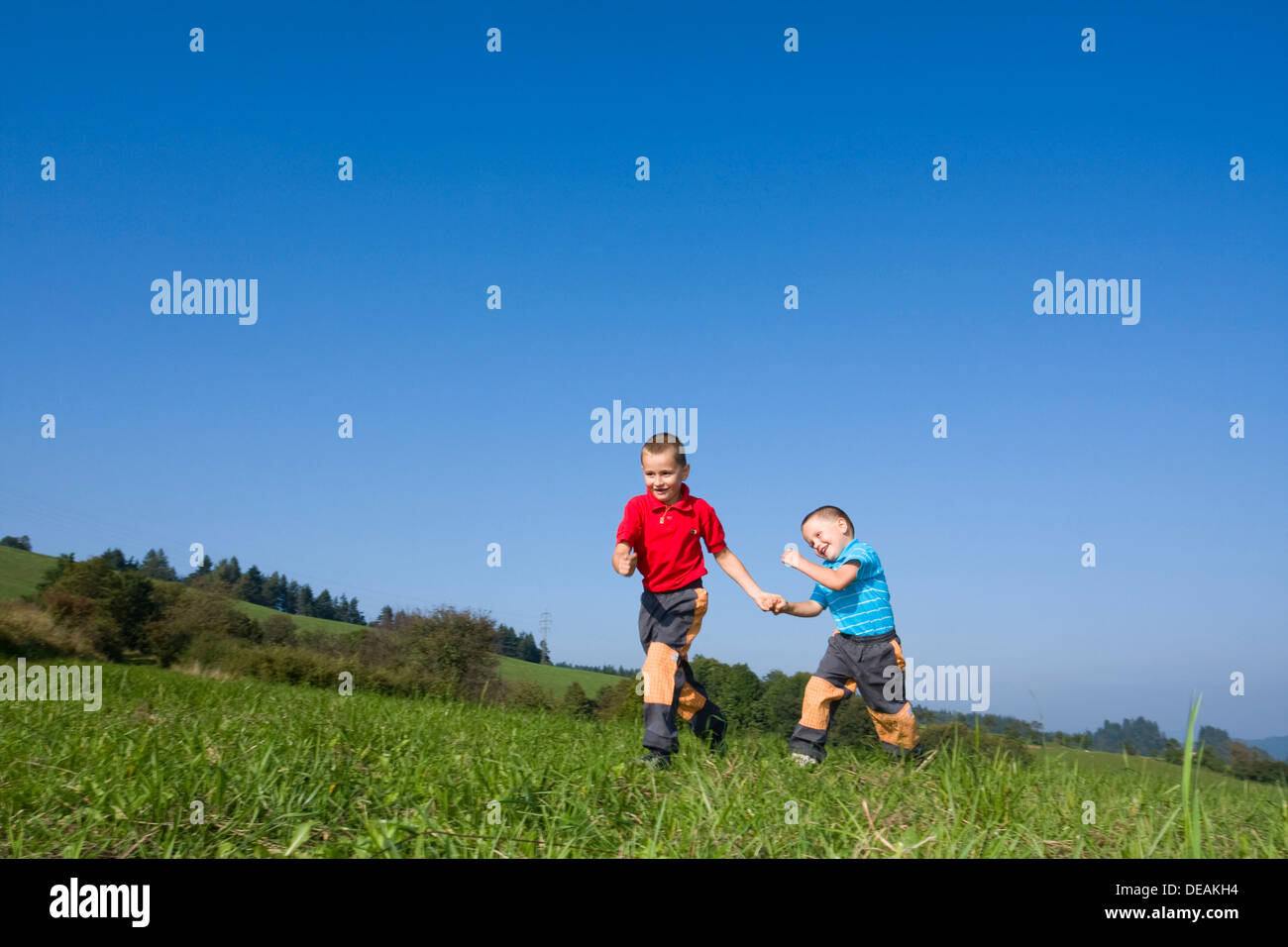 Boys, 6 and 4 years, running over a meadow Stock Photo