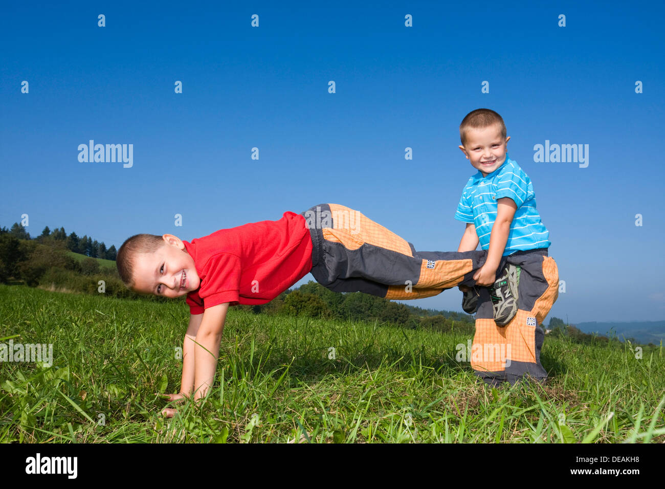 Boys, 6 and 4 years, playing in a meadow Stock Photo