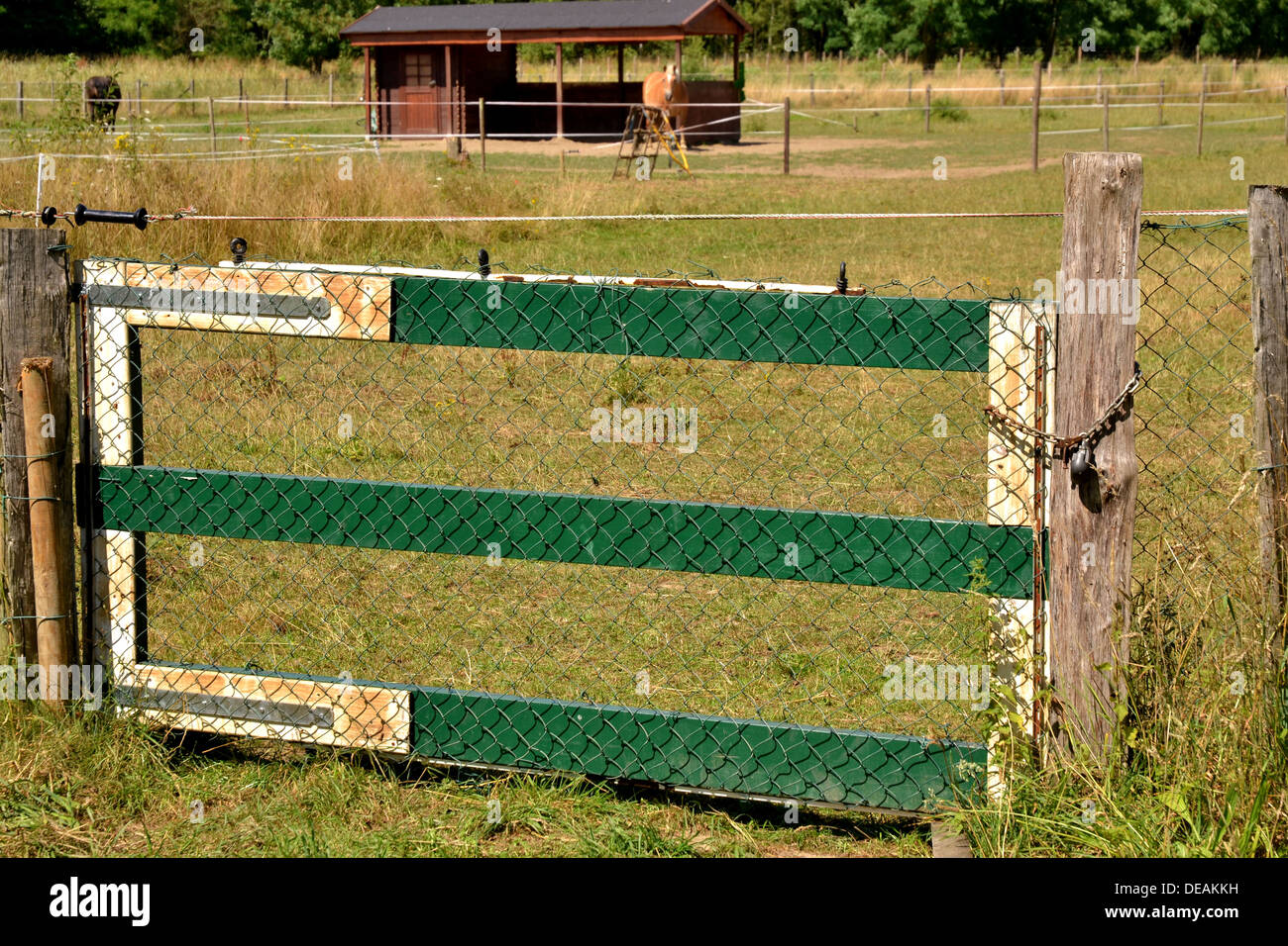 Pasture with wire and wood fence painted white and green. Photo taken in Heerlen in the province of Limburg in the Netherlands Stock Photo