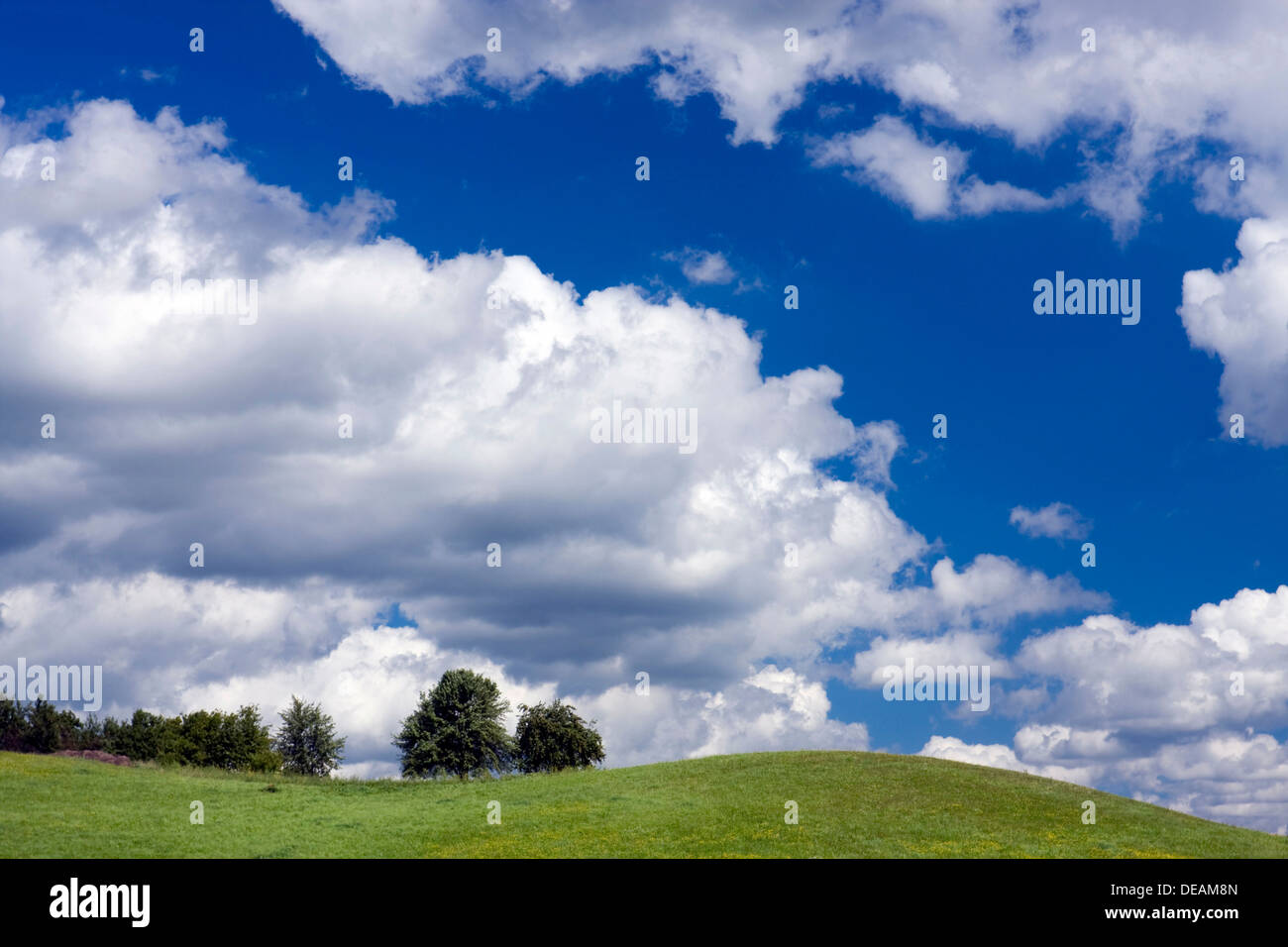 Landscape near Lepelioniu piliakalnis, Lithuania, Europe Stock Photo