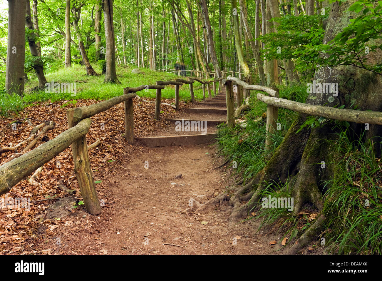 Walking trail hi-res stock photography and images - Alamy