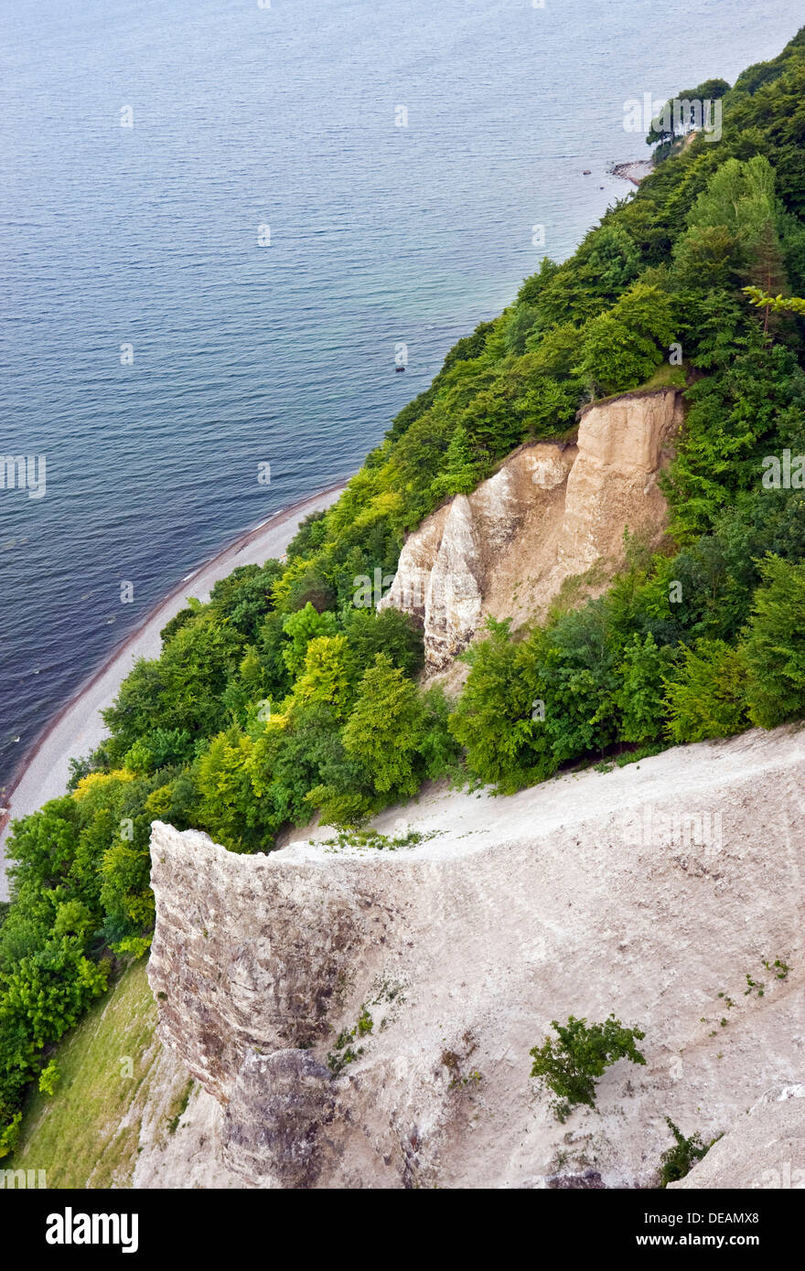 Chalk cliffs, view from the viewing platform on the Victoria Sicht, Jasmund National Park, Ruegen Island Stock Photo