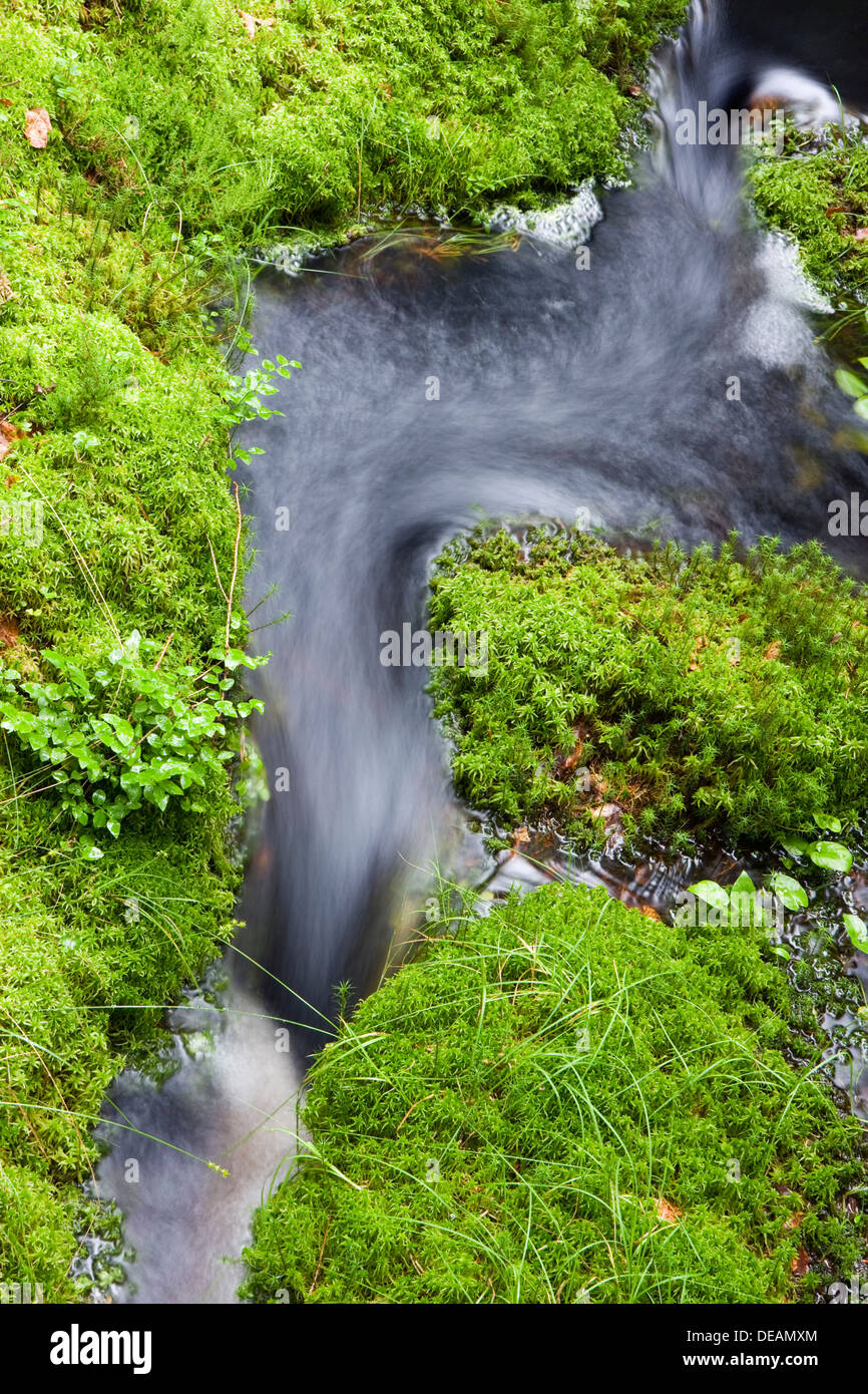 Brooklet High Resolution Stock Photography and Images Alamy