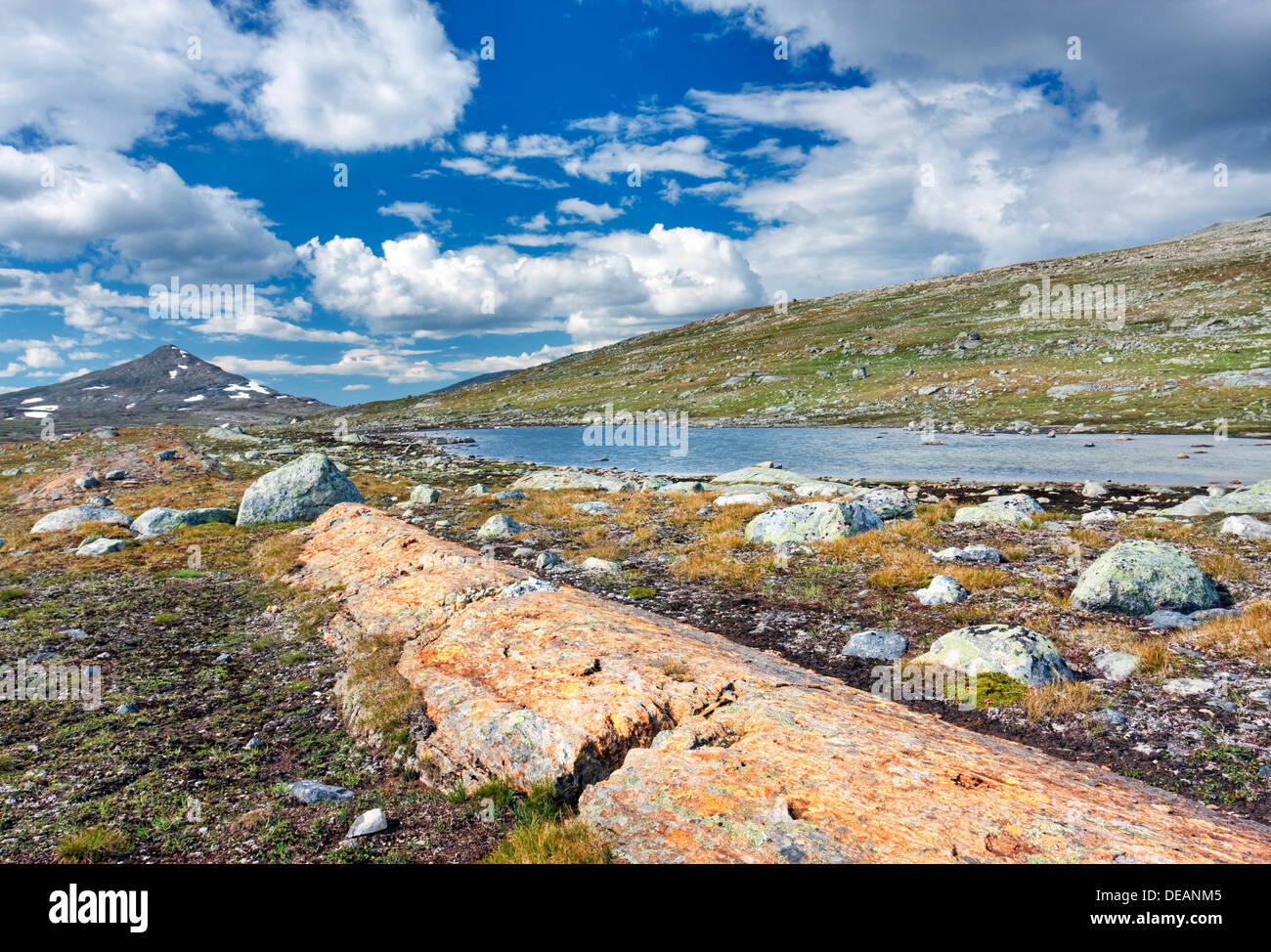 Valley of Namnlauselva brook, Saltfjellet-Svartisen National Park, Nordland county, Norway, Scandinavia, Europe Stock Photo