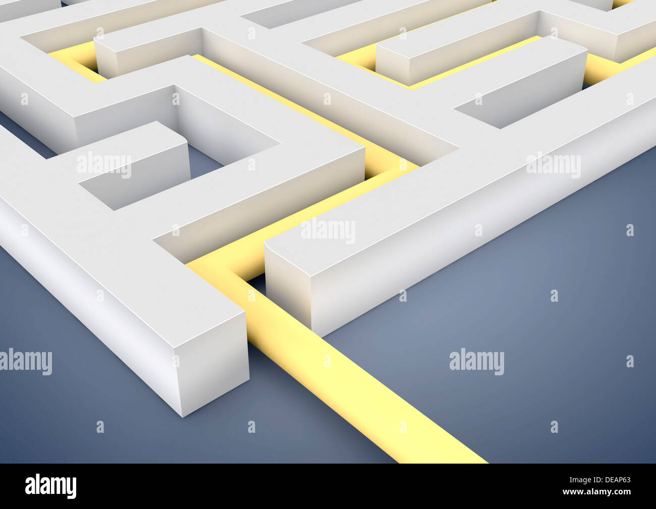 Maze, labyrinth with the solution, path to the exit, symbolic image for