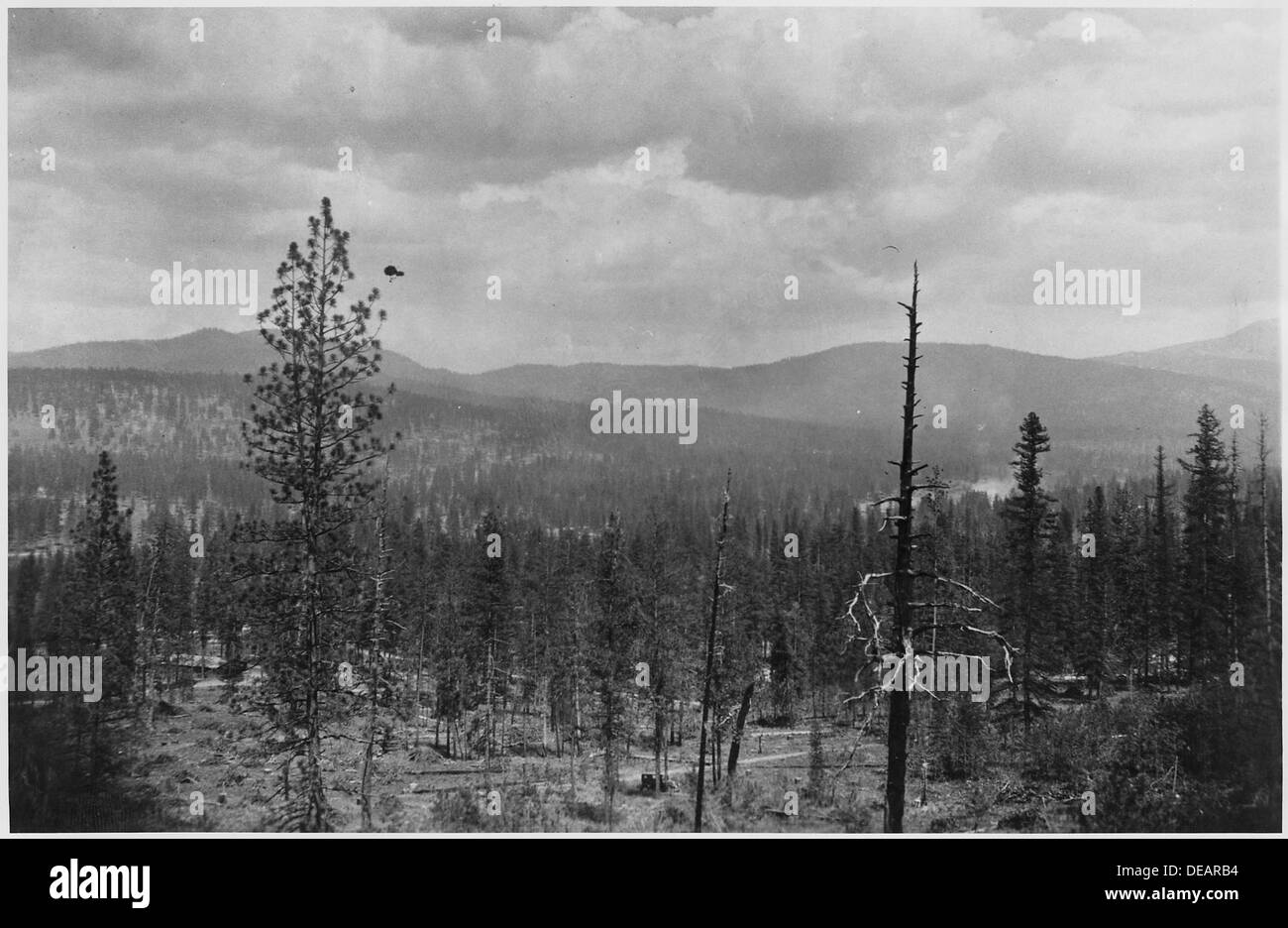 Photo by Ladd showing general view of Omak Creek Valley from a ridge top. Note old model auto in greshly cut-over 298694 Stock Photo