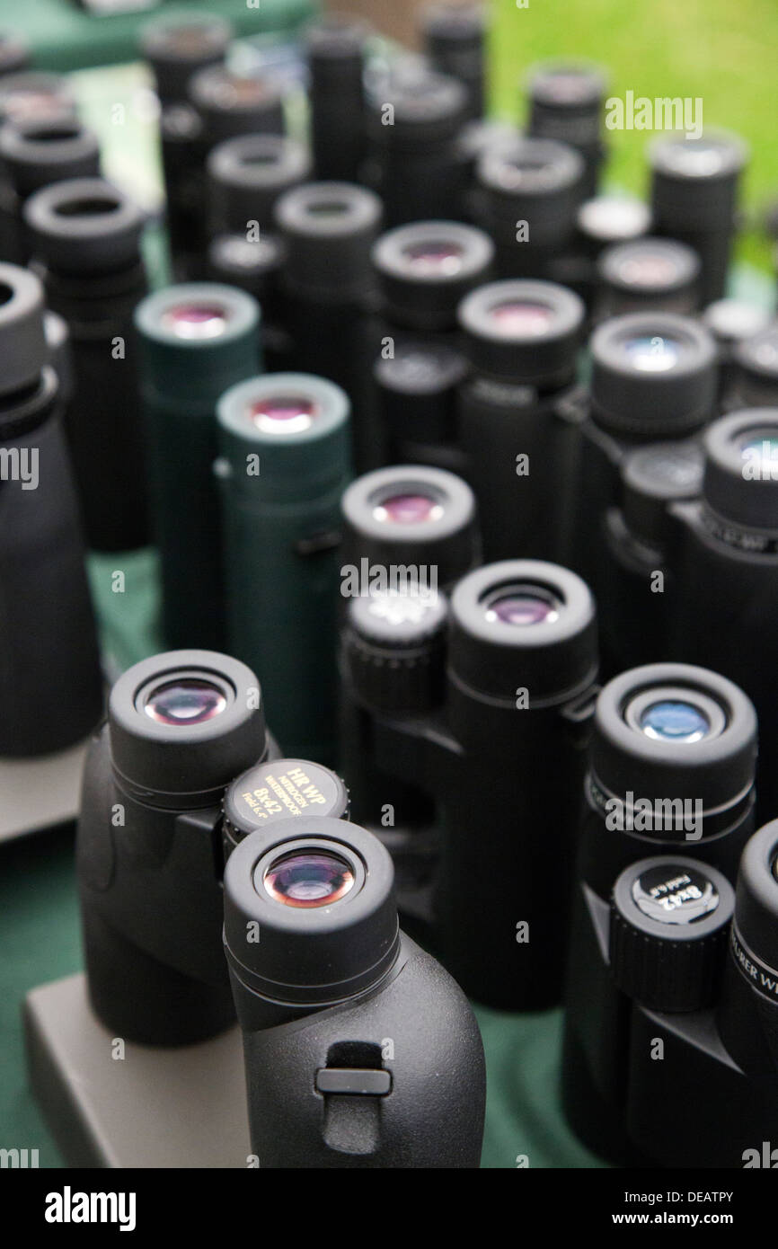 Binoculars; Opticron; Display; Cornwall; UK Stock Photo