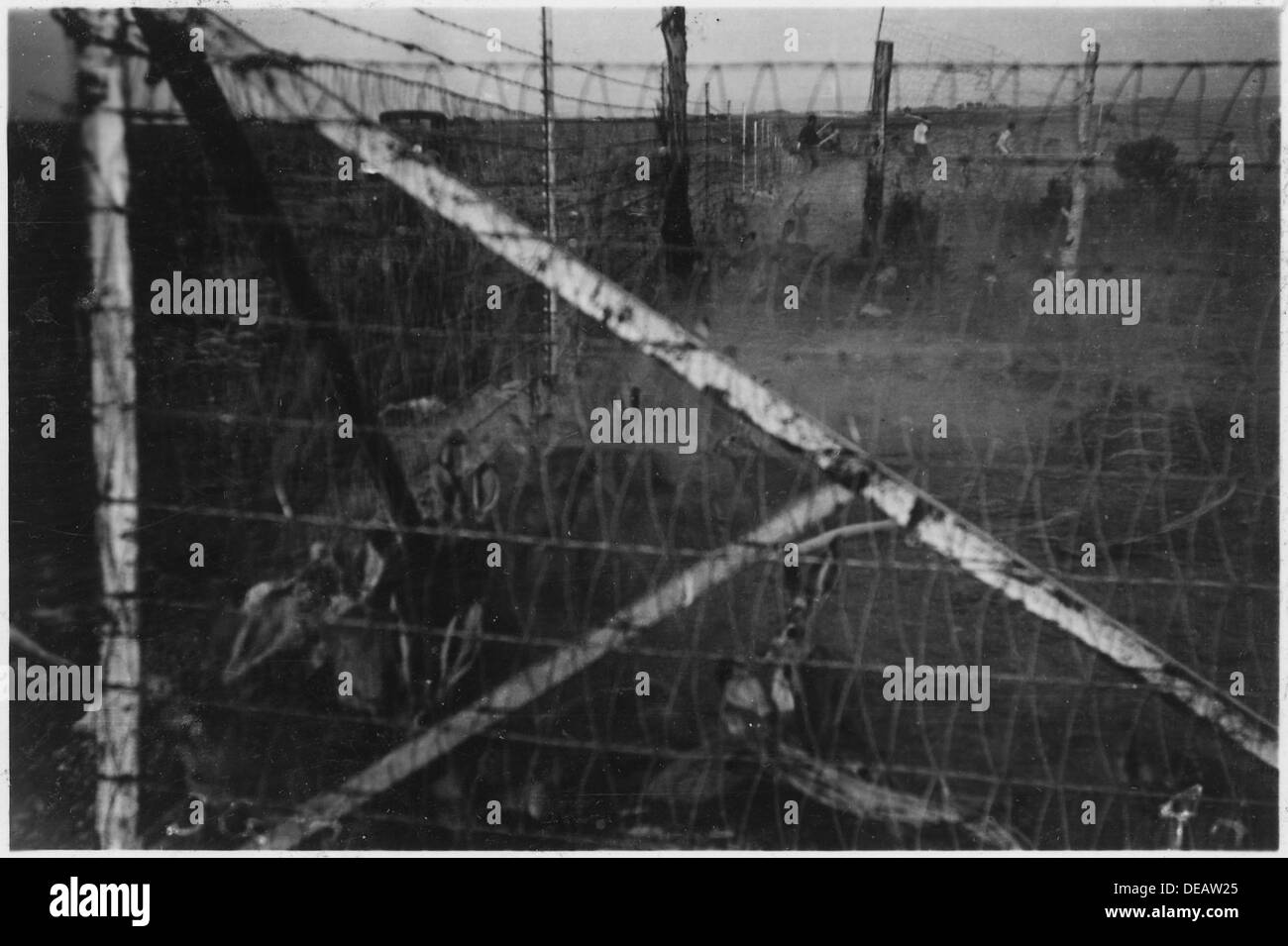 Rodent management Black and White Stock Photos & Images - Alamy