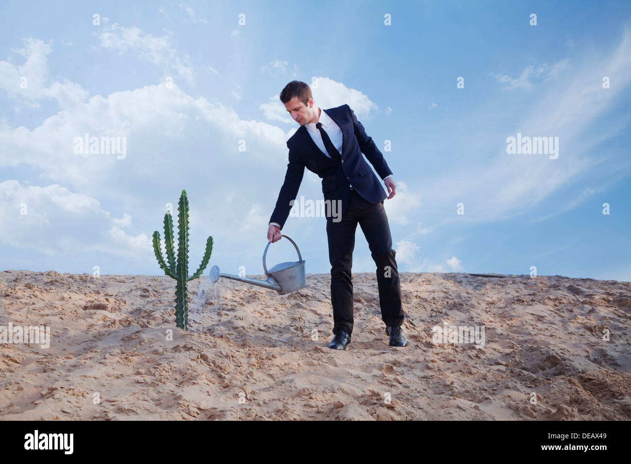 Young businessman watering a cactus in the desert Stock Photo