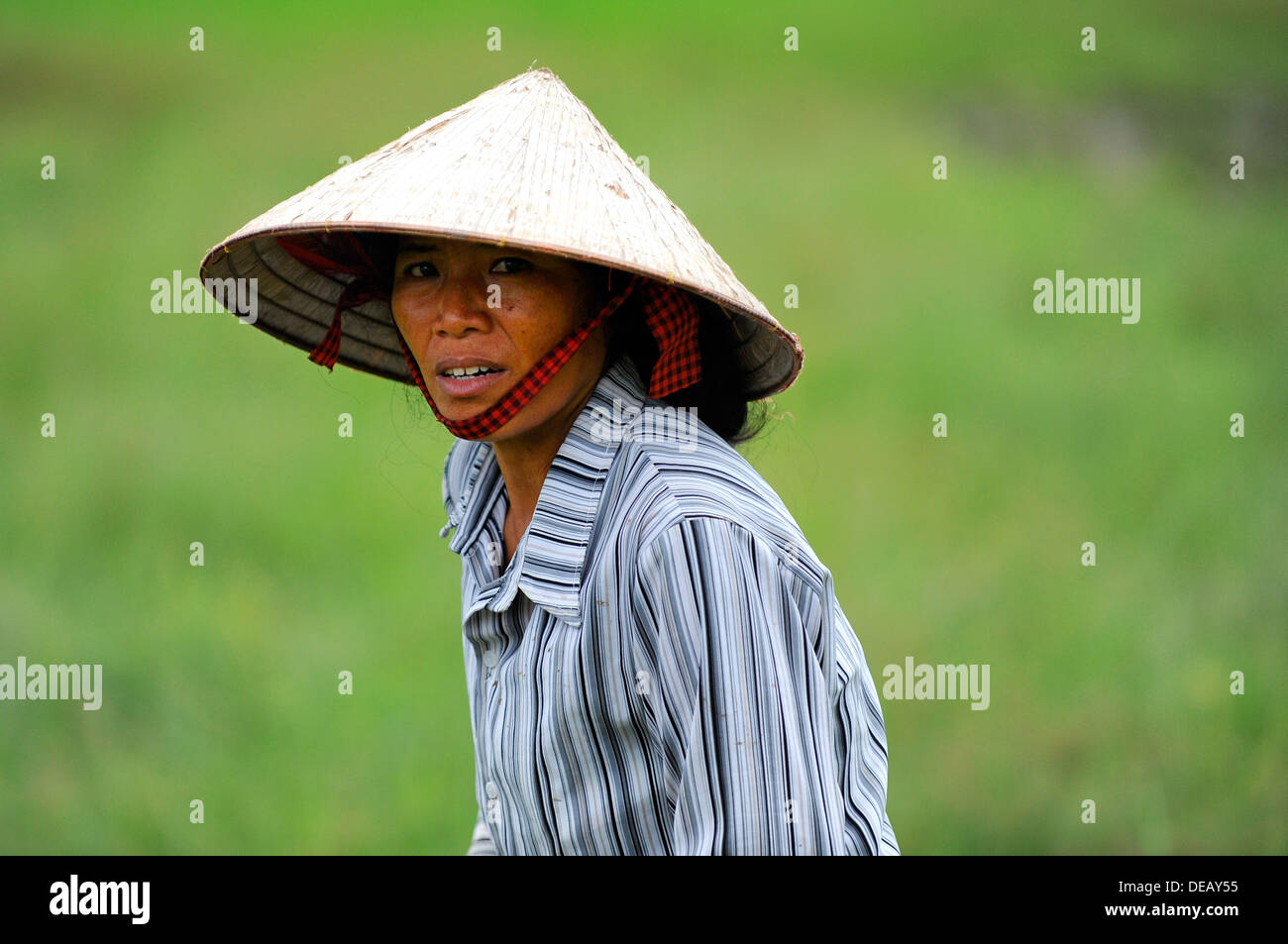 Rice field hat High Resolution Stock 