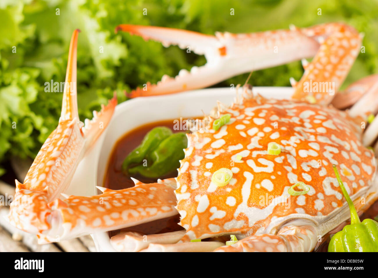 Flower Crab Curry Non sharpen file Stock Photo