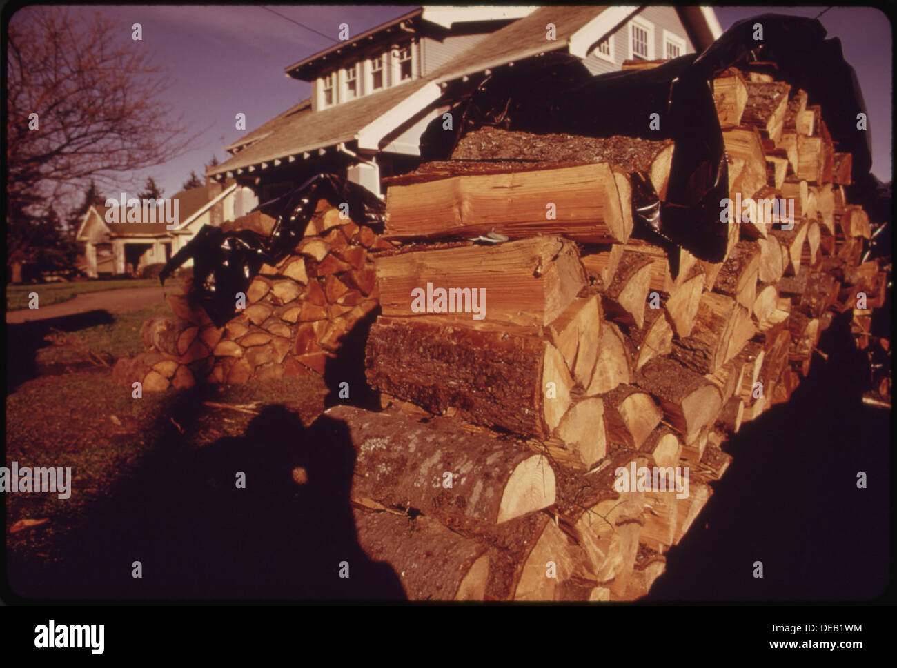 UNTIL THE FUEL CRISIS IT WAS VERY UNUSUAL TO NOTICE WOOD PILED ON FRONT