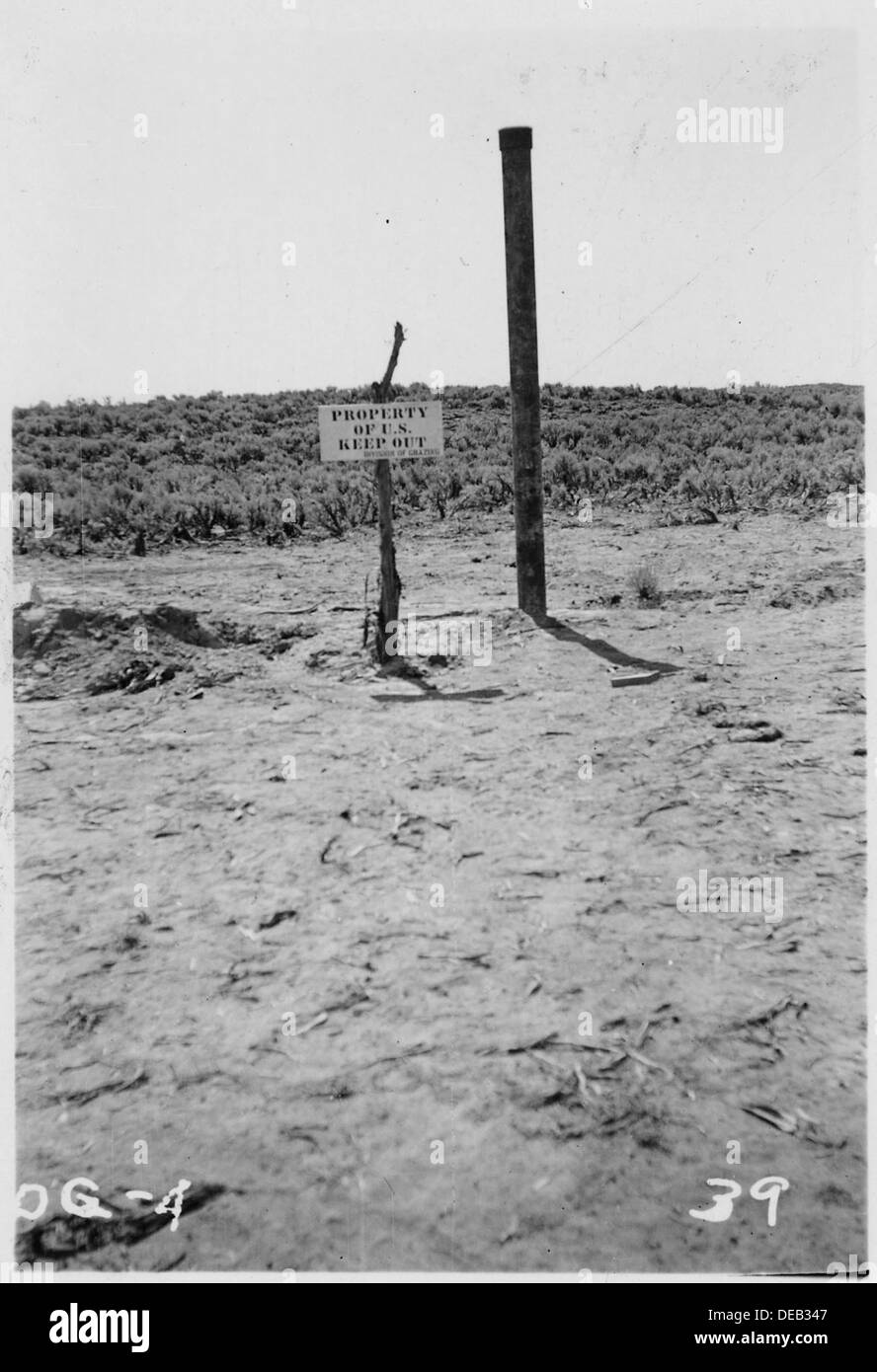 south beach espadrilles