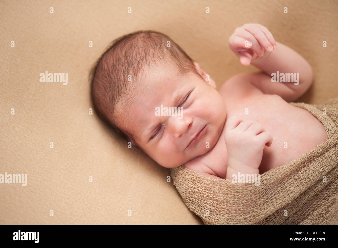 Fussy hires stock photography and images Alamy