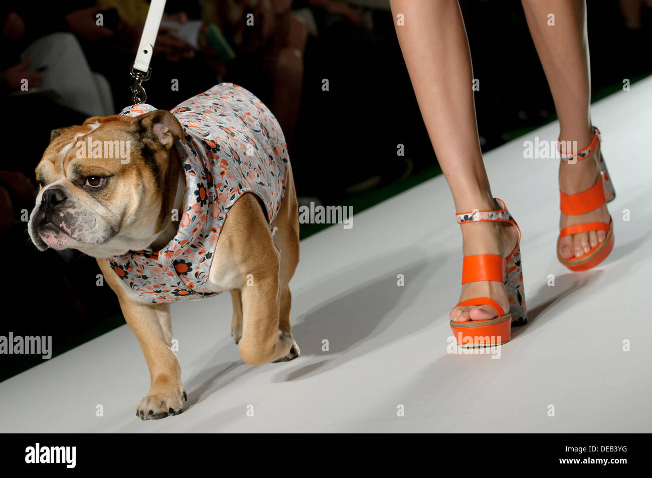 A model wears a design created by Mulberry during London Fashion Week Spring/Summer 2014. Stock Photo