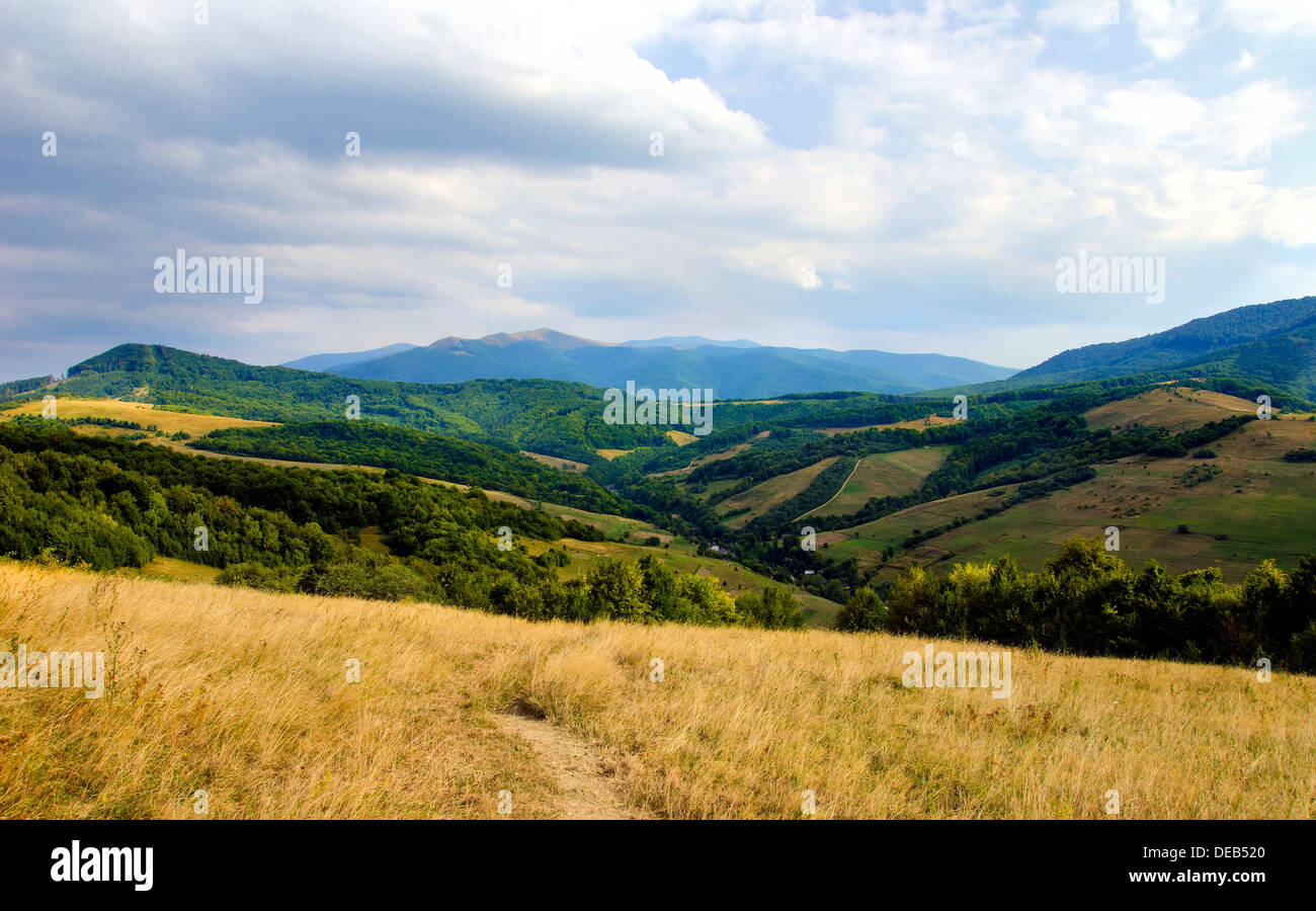 Green forest blue sky hi-res stock photography and images - Alamy