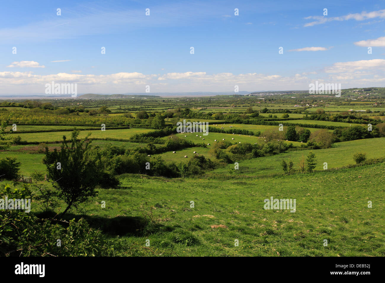 Summer view over the Somerset Levels, Somerset County, England, UK Stock Photo