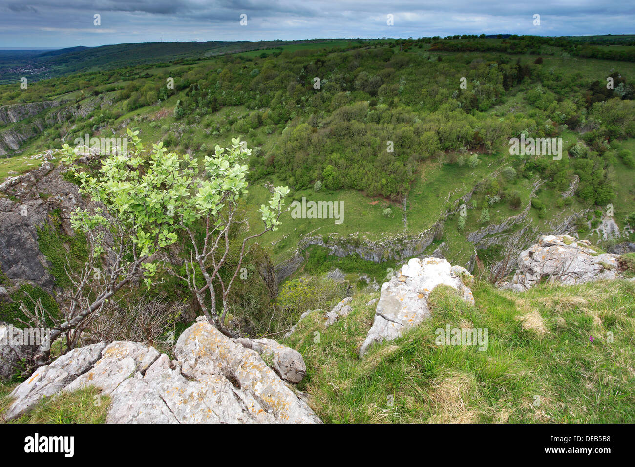 Summer view over the Limestone cliffs of Cheddar Gorge, Mendip Hills, Somerset County, England, UK Stock Photo