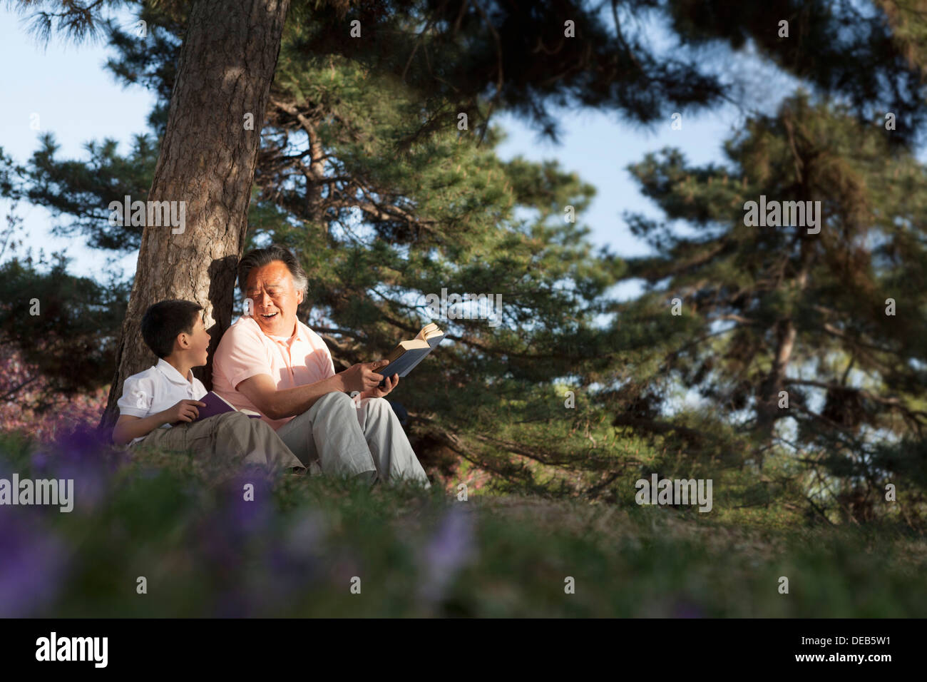 Grandfather and grandson relaxing under a tree and reading books in a park in the springtime, Beijing Stock Photo