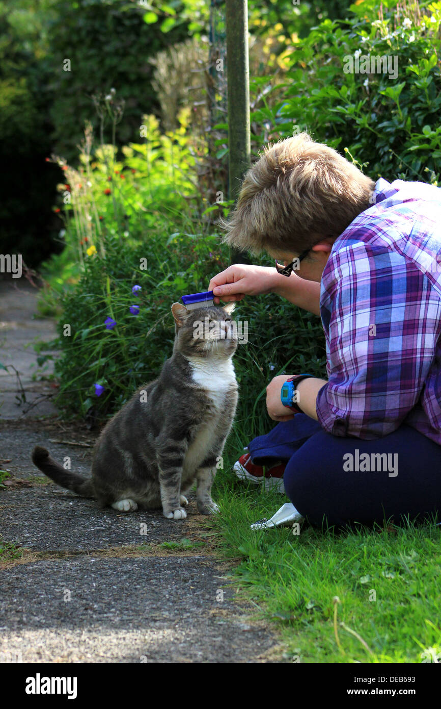 Cat check hires stock photography and images Alamy