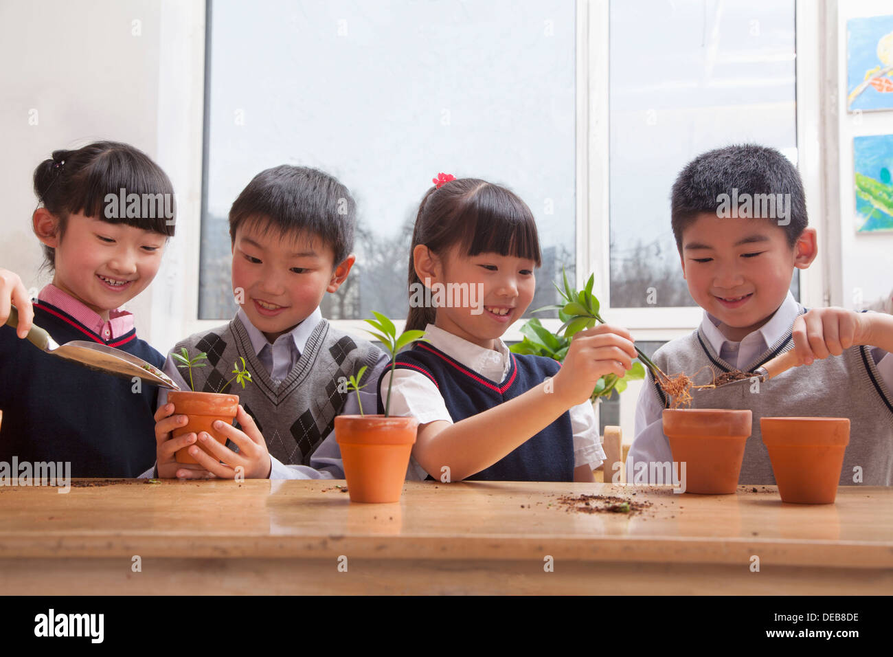 Schoolchildren planting plants into flowerpots in the classroom Stock Photo