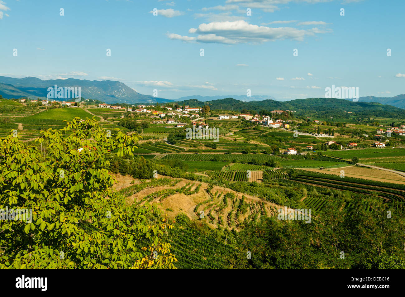 View over Vineyards from Medana, Brda, Slovenia Stock Photo