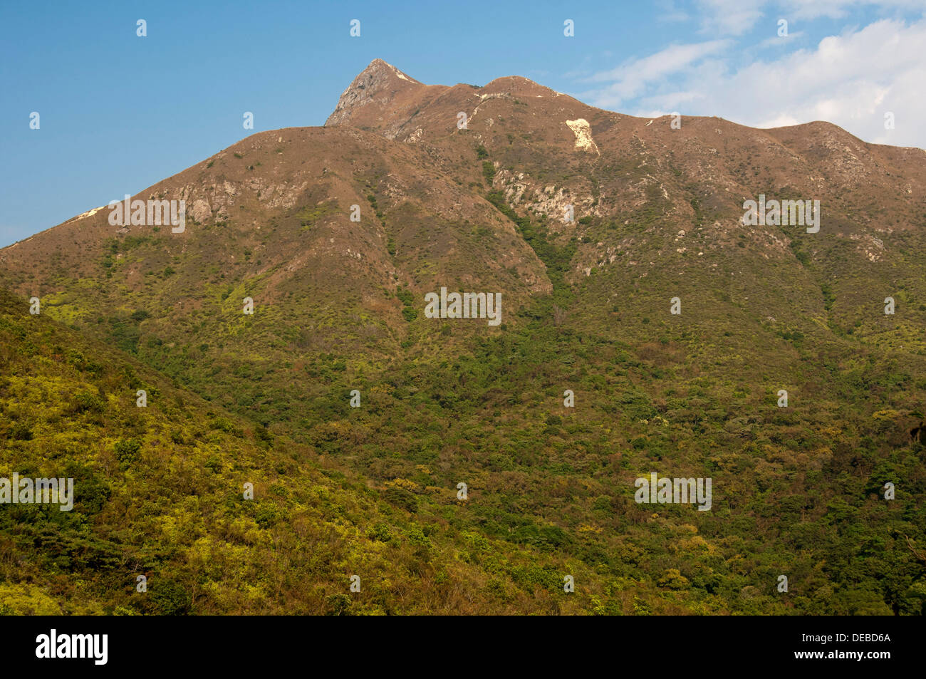 Scrubland with Sharp Peak mountain range, Sai Kung Country Park, Hong Kong, Hong Kong, China, People's Republic of China Stock Photo