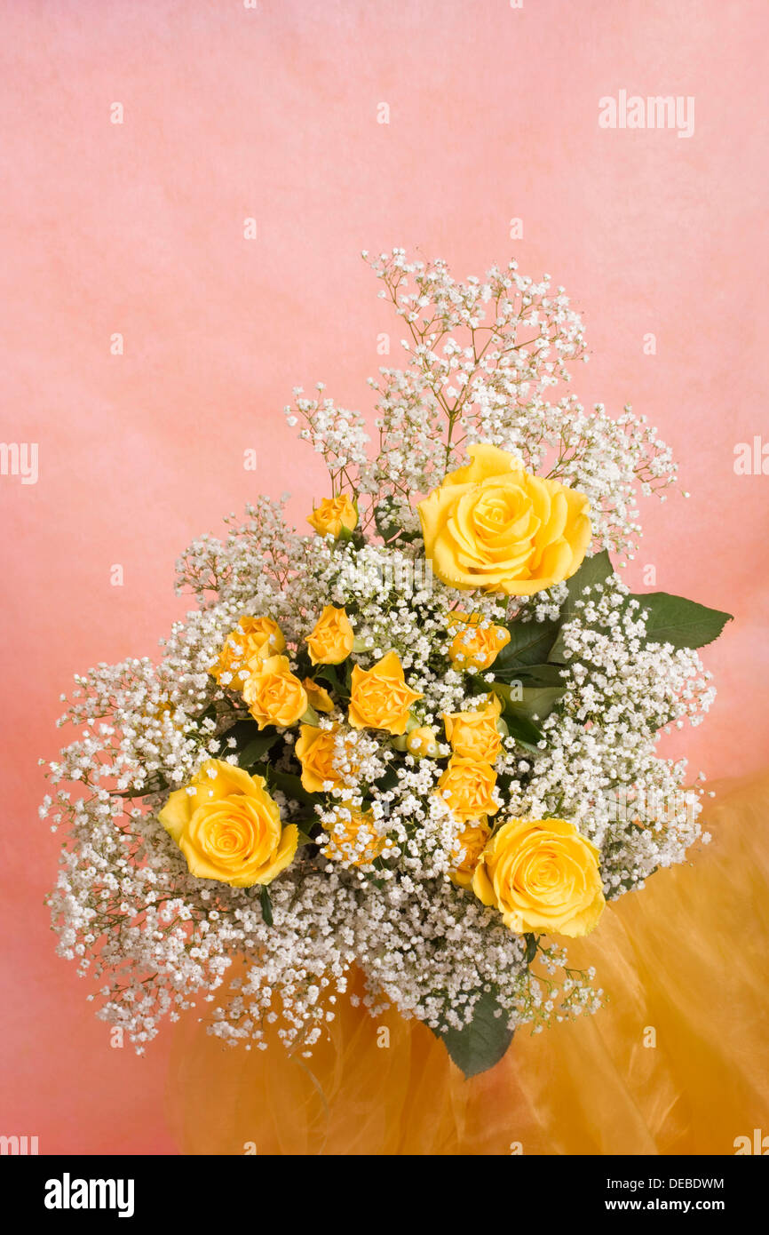 Yellow roses bunch hi-res stock photography and images - Alamy