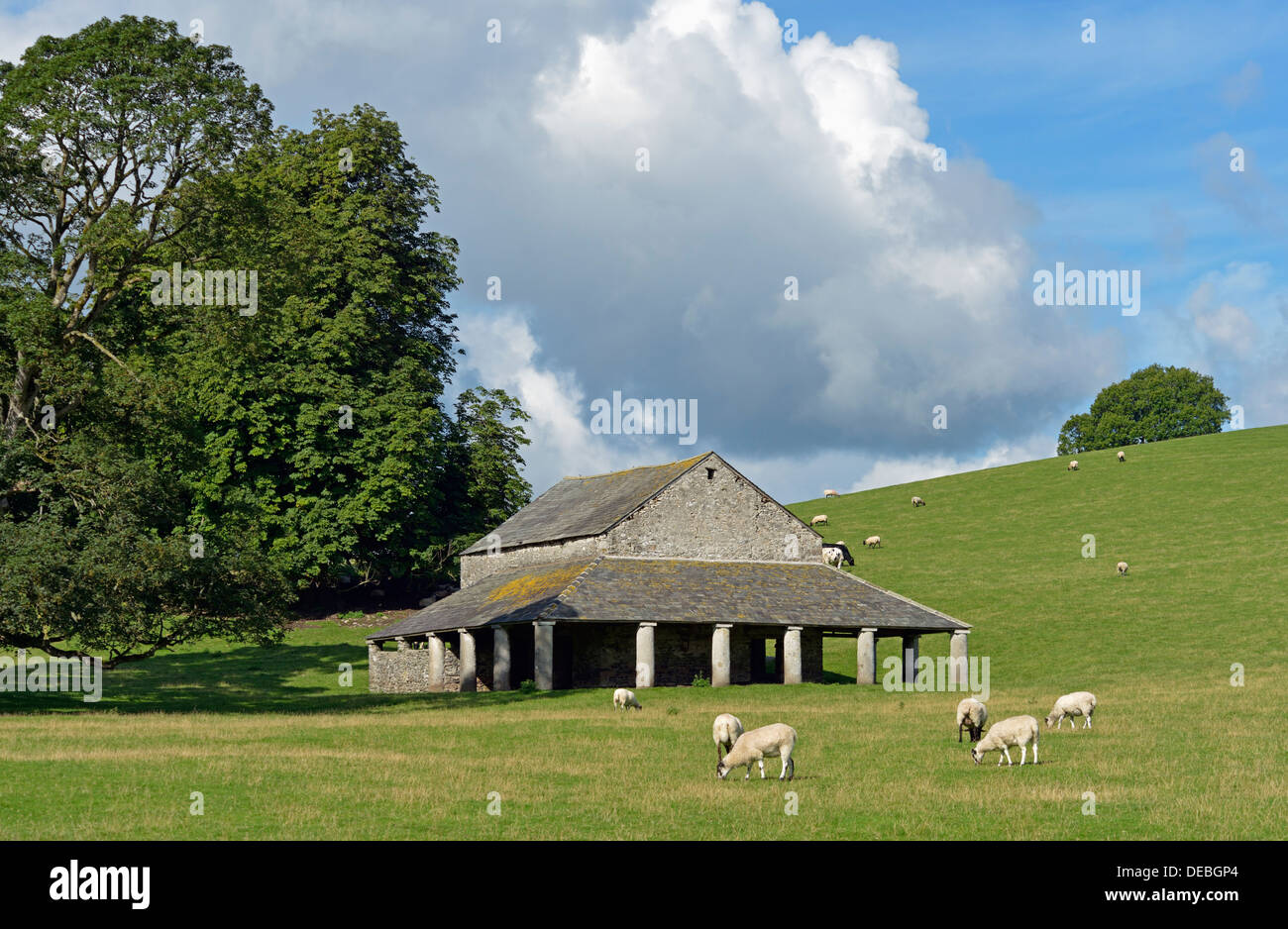 Deer Shelter, Dallam Park, Milnthorpe, Cumbria, England, United Kingdom
