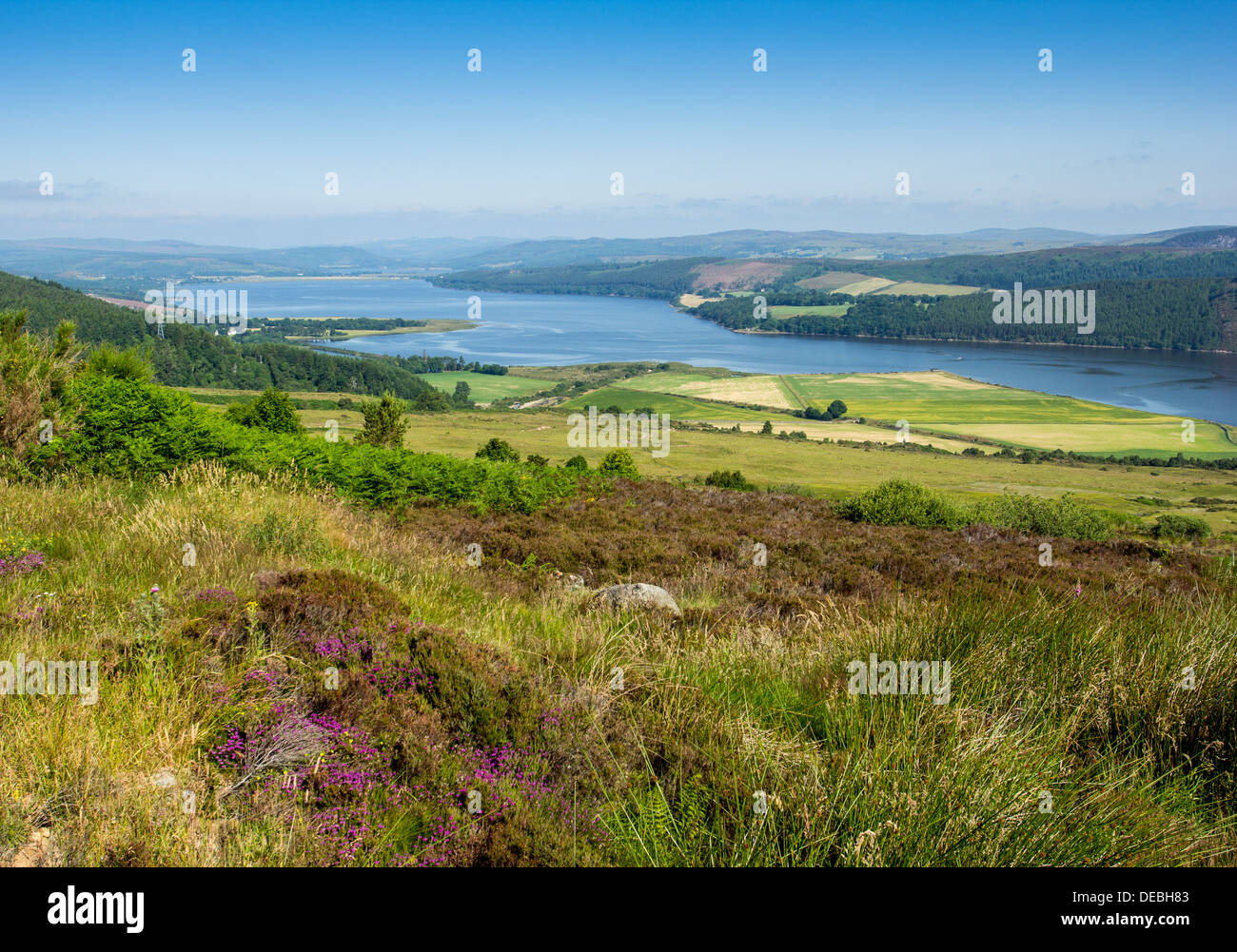 DORNOCH FIRTH FROM STRUIE HILL ON A JULY MORNING SUTHERLAND SCOTLAND