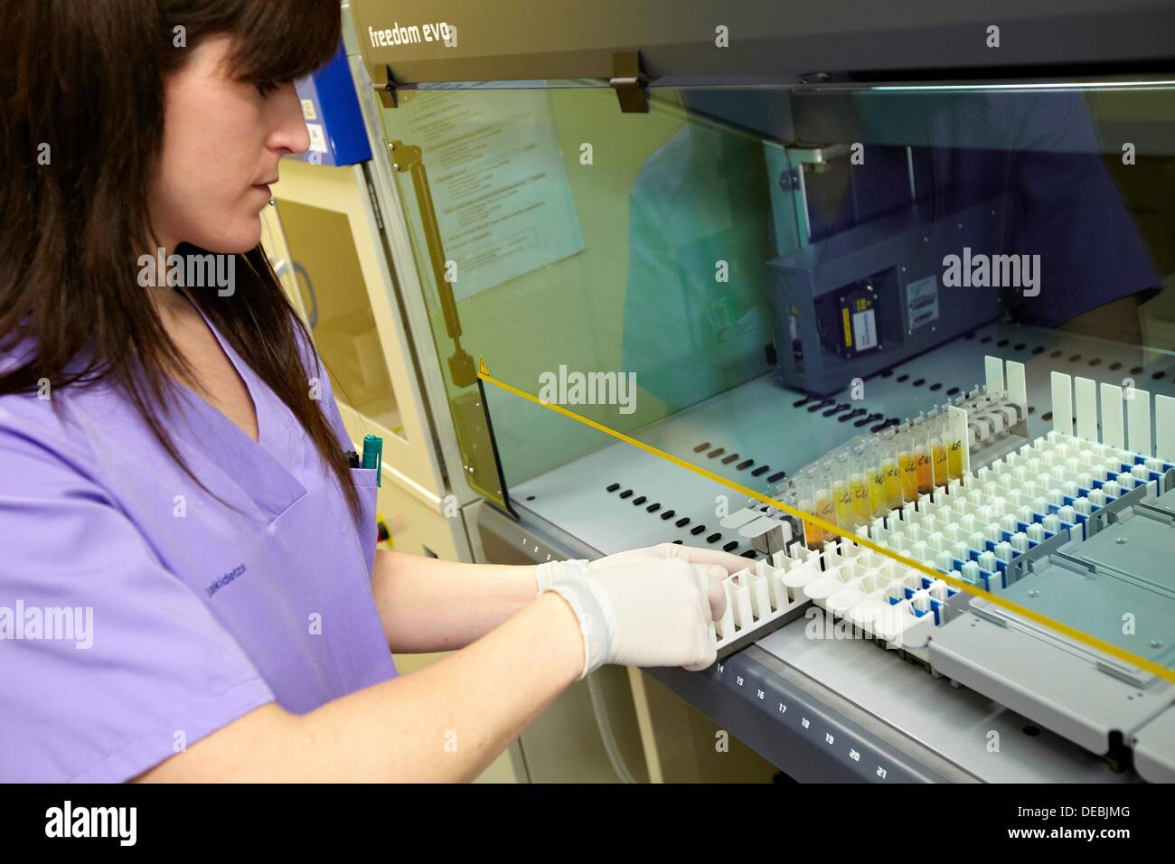 Sample loading, TECAN automated samples handling, DNA and RNA biobank, extraction and storage of