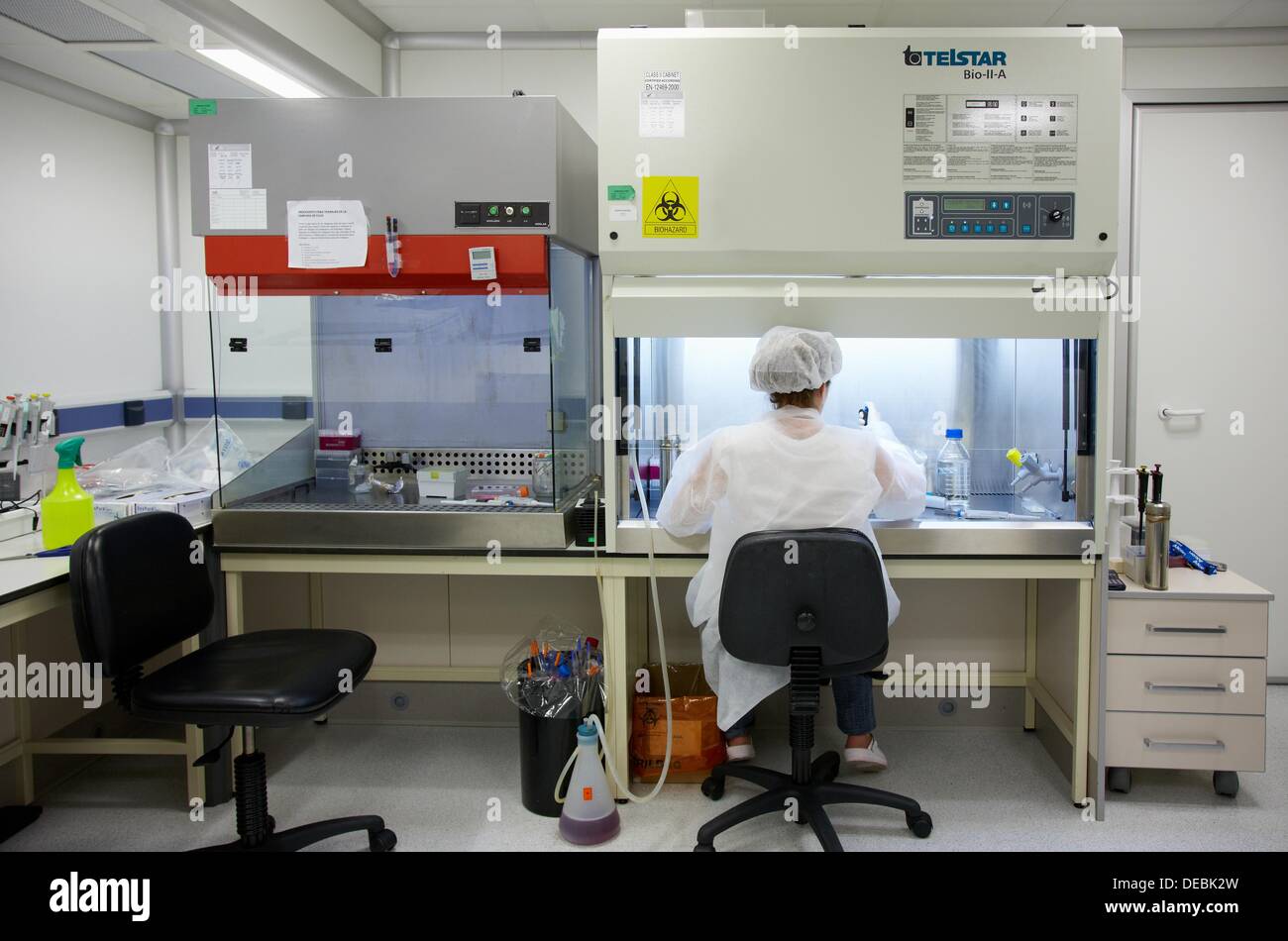 Researcher seeding mammalian cells in a cell culture room equipped with  laminar flow hood, Cell Culture Laboratory, Unit of Stock Photo - Alamy