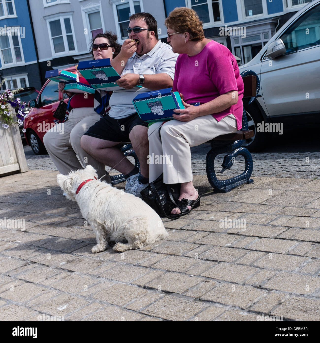 a family eating fish and chips, sitting on a bench, watched by their pet dog, UK Stock Photo