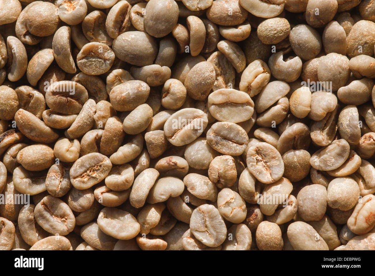 Unroasted coffee beans, Germany Stock Photo Alamy