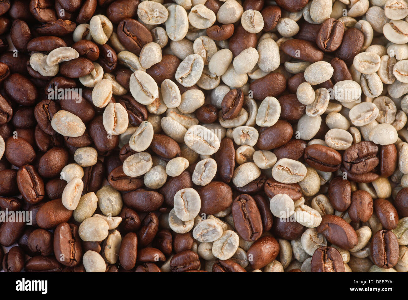 Coffee beans, roasted and unroasted, Germany Stock Photo Alamy